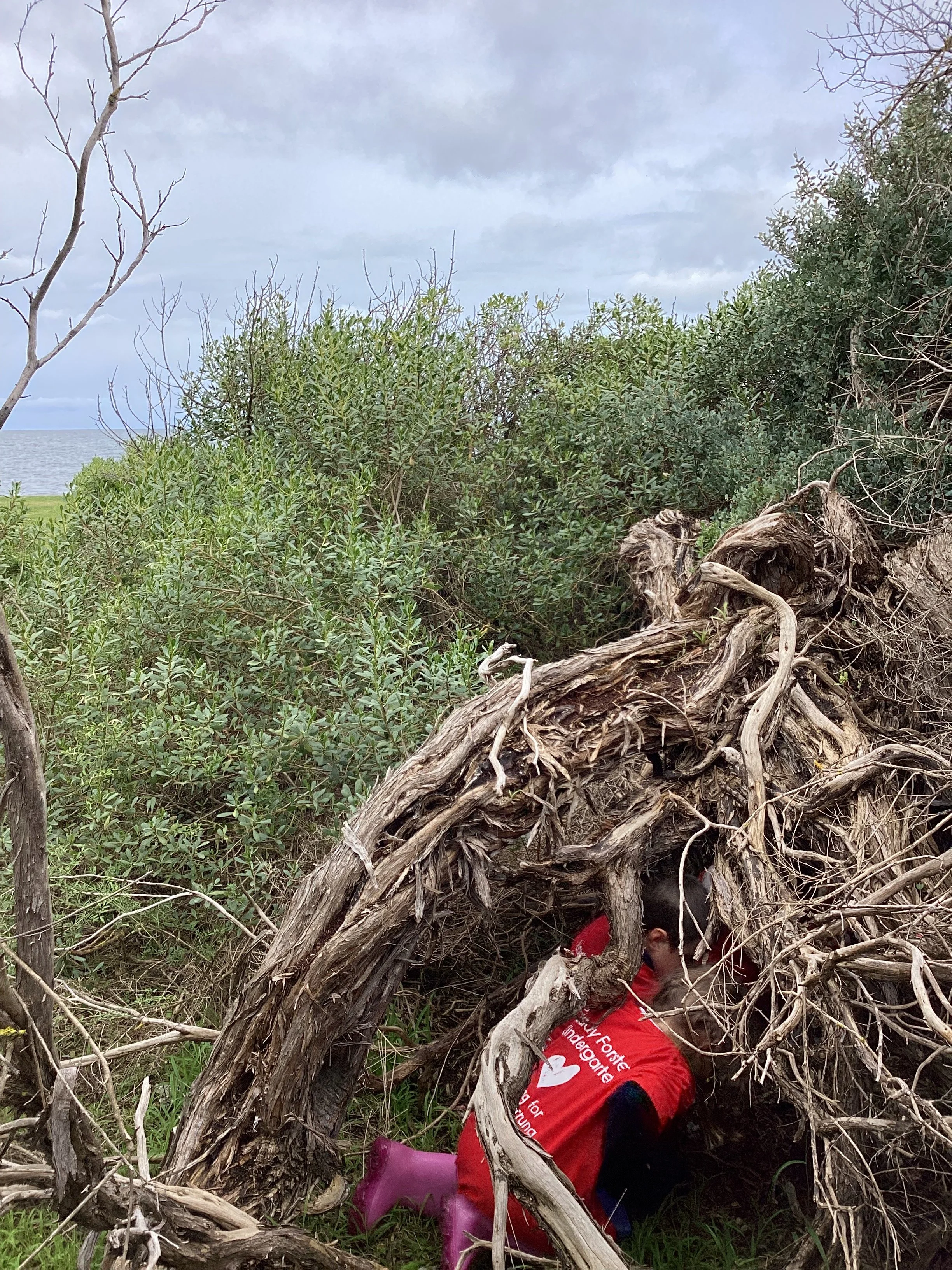 Person wearing a red jacket and purple boots crouching under a large, fallen tree with exposed roots in a grassy area surrounded by dense bushes with ocean visible in the background under a cloudy sky.