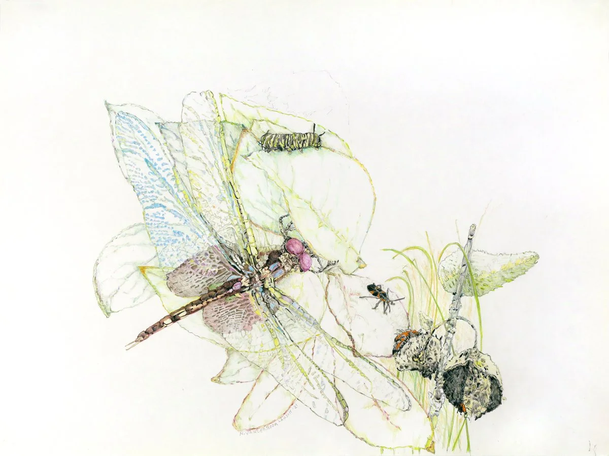 Oh What a Tangled Web We Weave