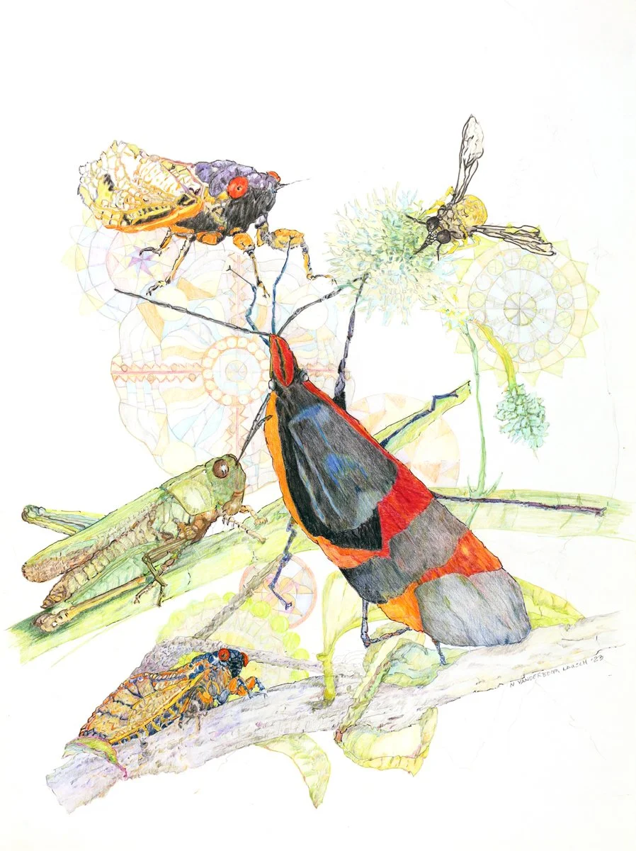 Dancing in the Field