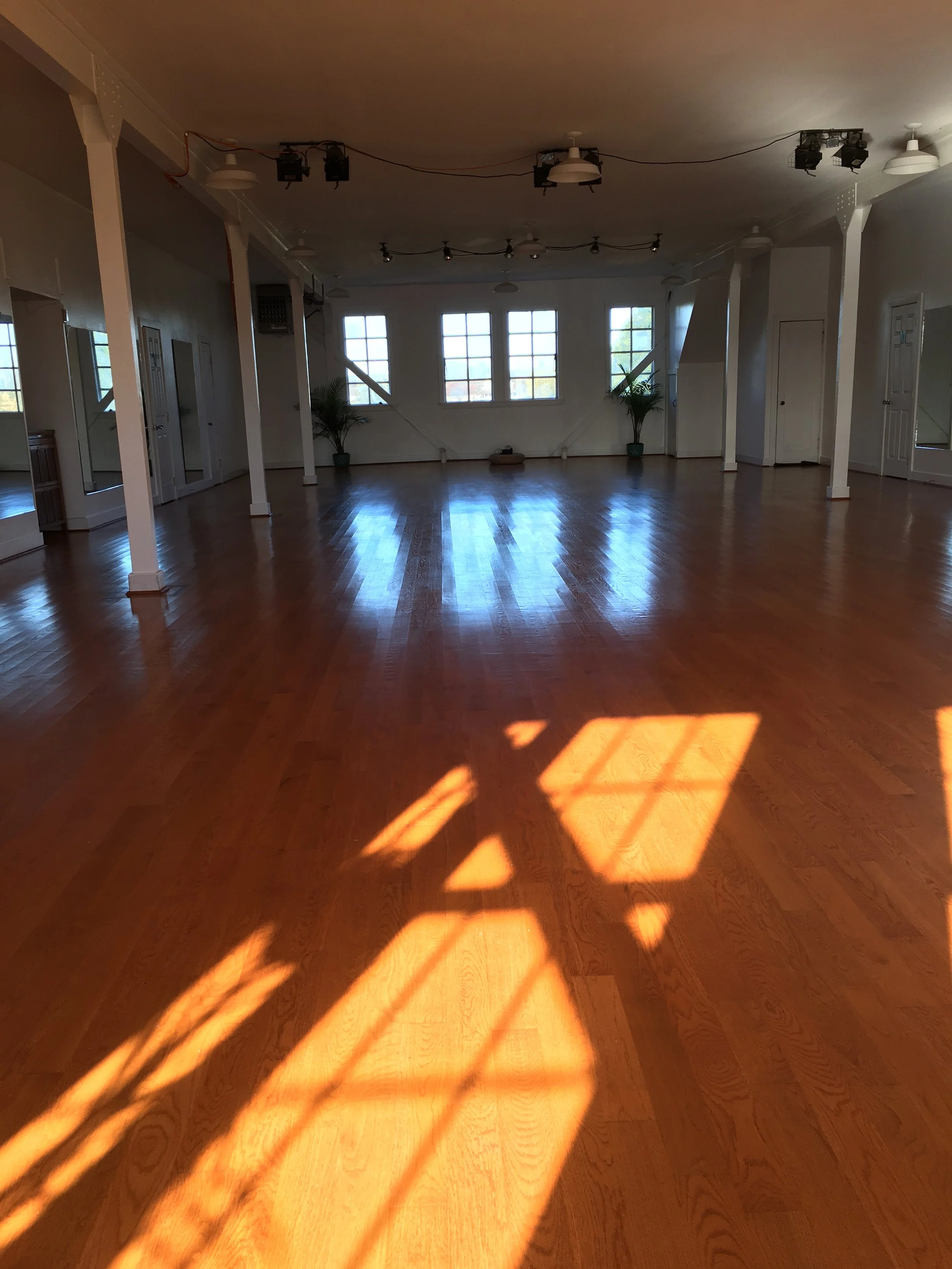 Empty room with polished wooden floor and multiple windows letting in sunlight, with shadows cast on the floor.