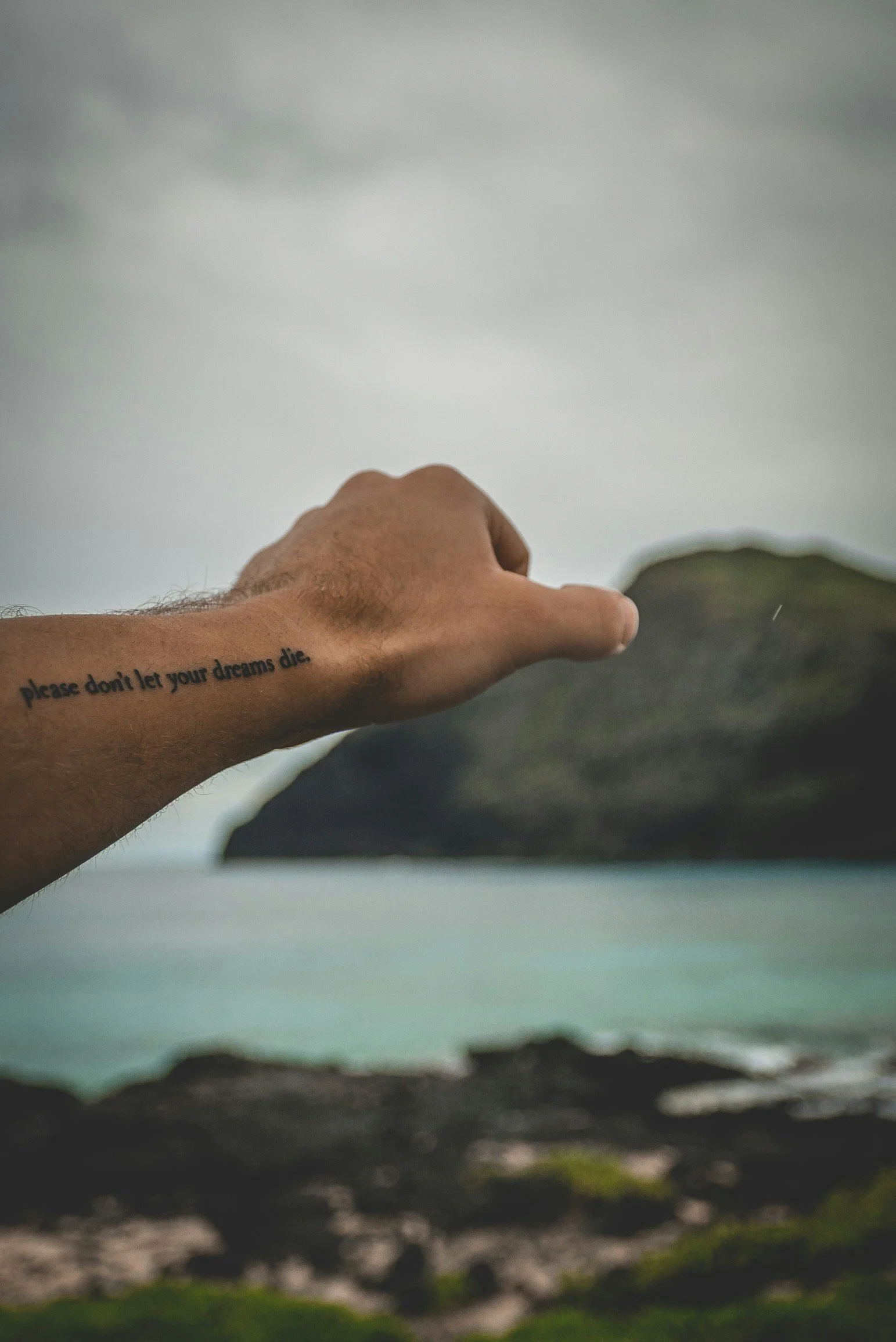 A person's arm and hand extending over a rocky shoreline with a large rocky island in the background; the person's forearm has a tattoo with the text 'please don't let your dreams die.'