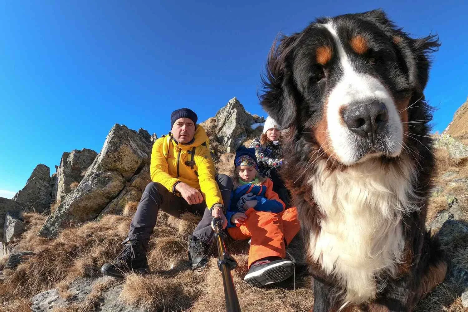 Cani-Hiking Fundamentals