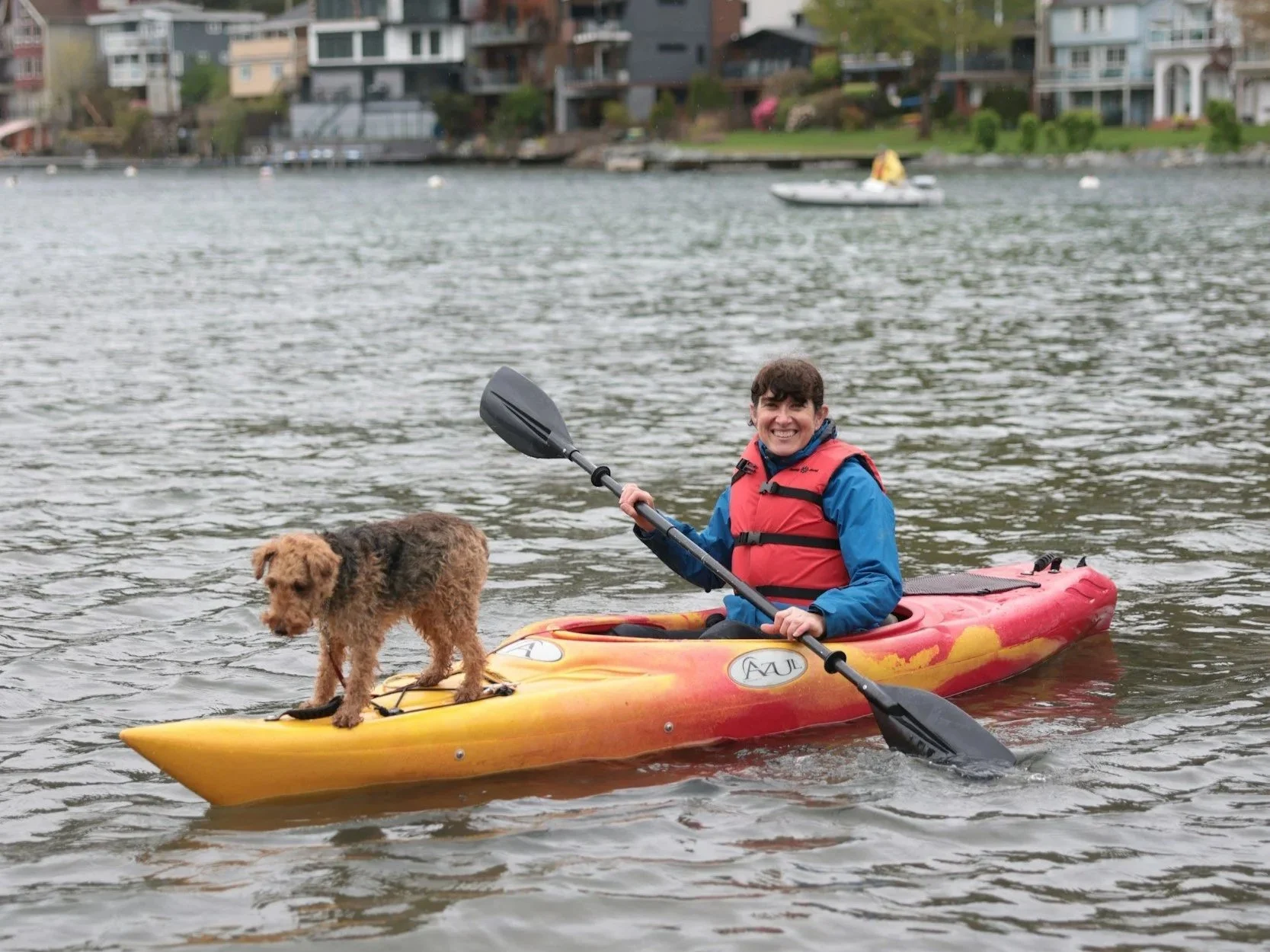 Kayaking With Your Dog: Beginner Paddle Experience
