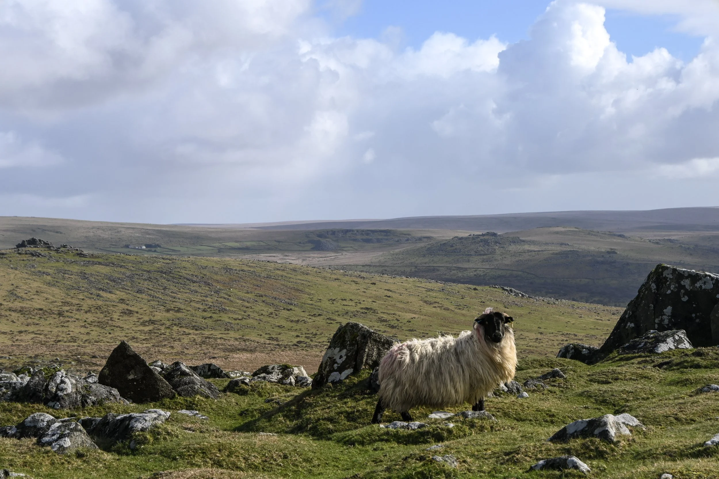 DSC_6298.jpg
