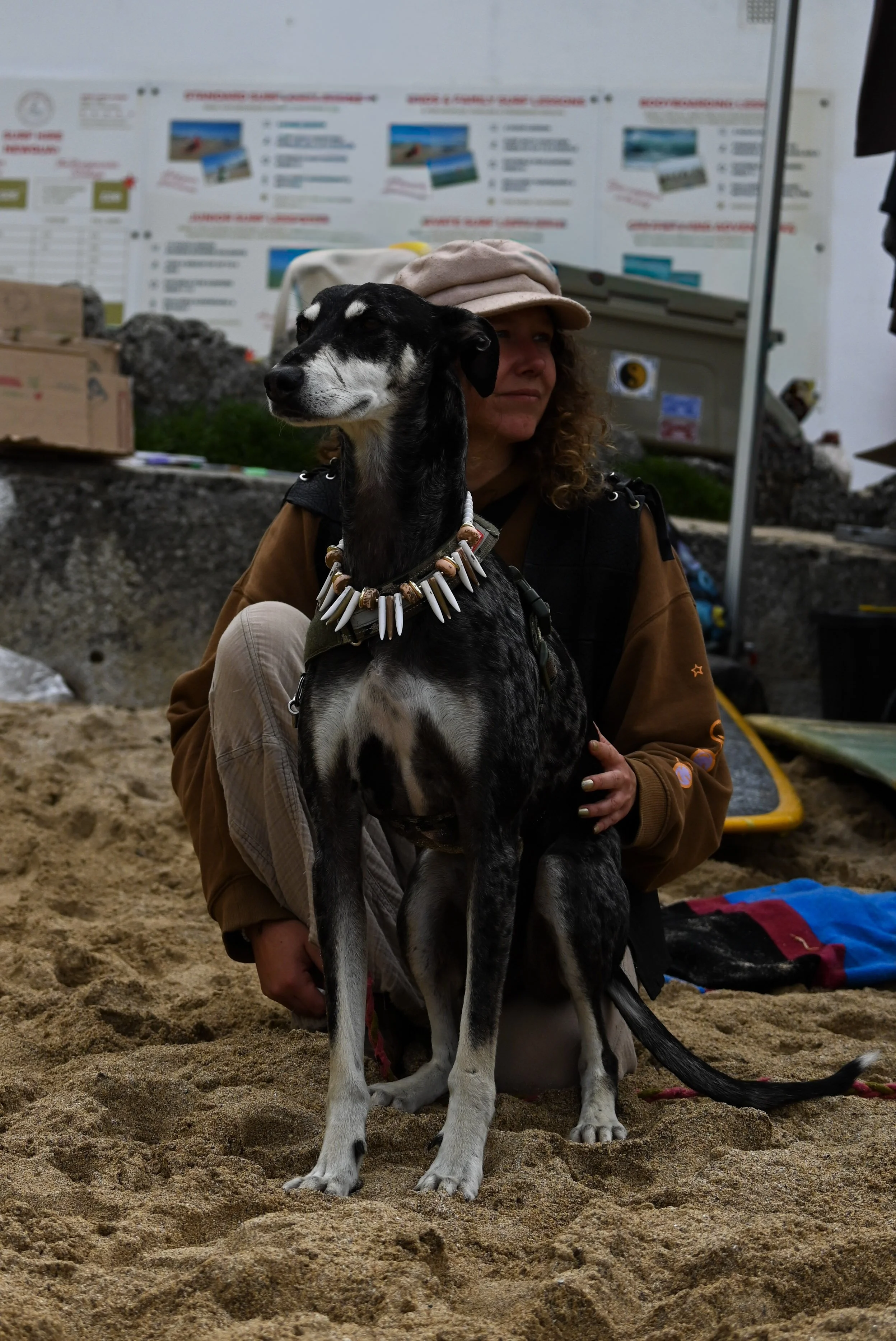 DSC_8566.jpg