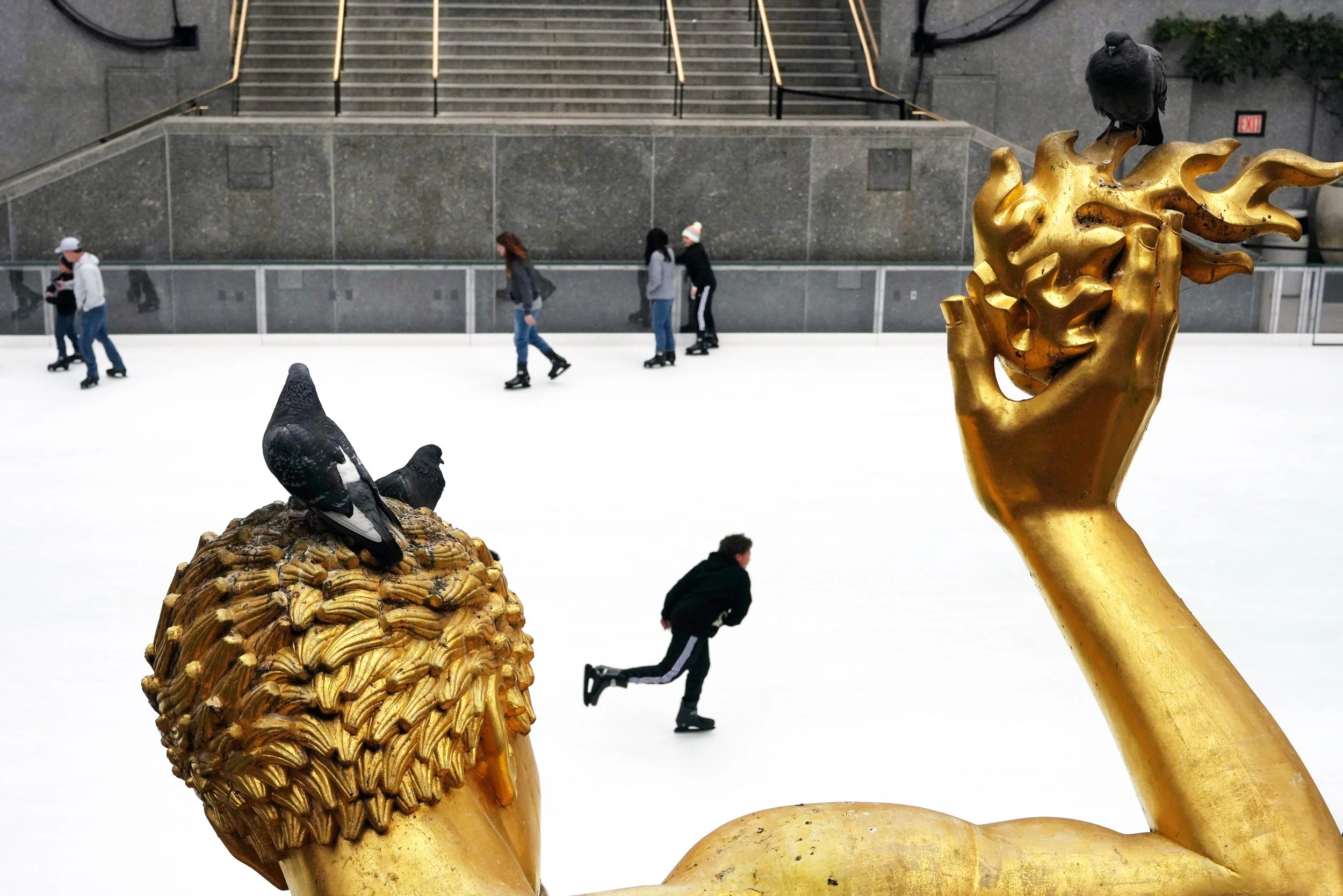 Borderless City - Migration