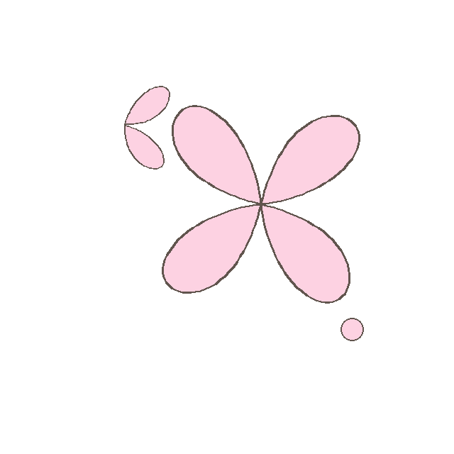 Pink butterfly with four wings on a black background.