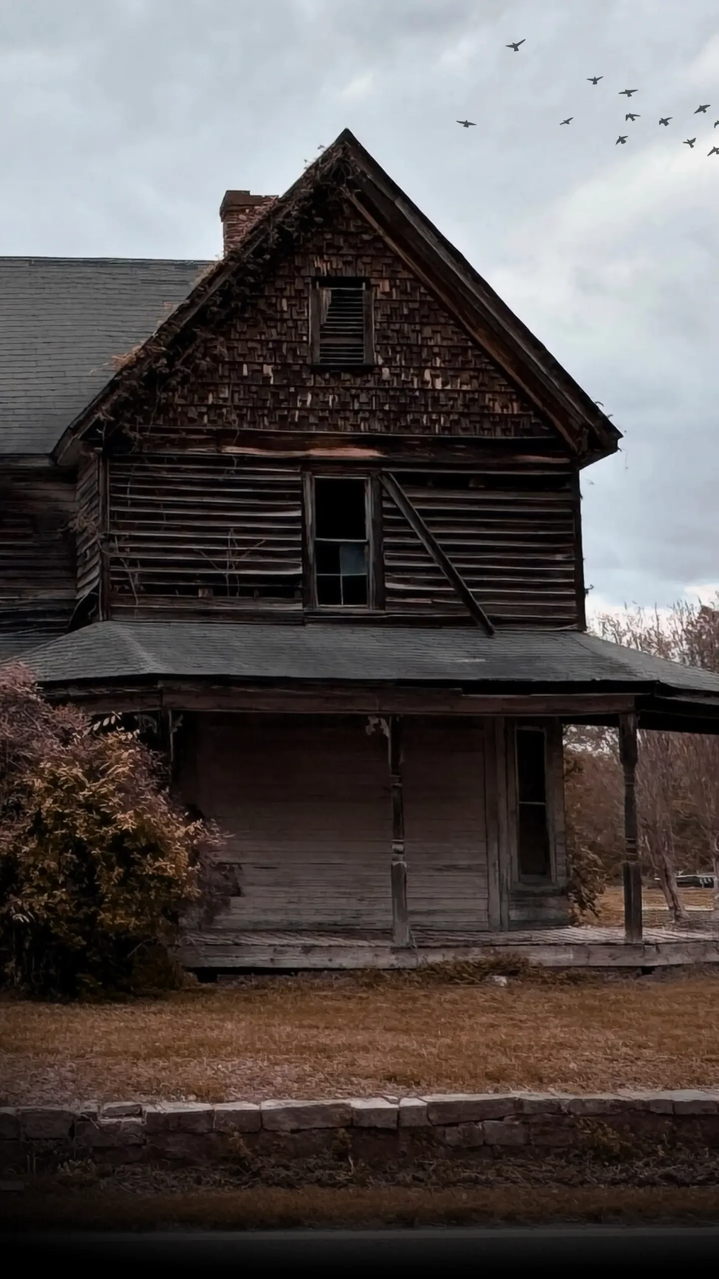 An old, abandoned house with worn-out wooden siding and broken windows, under a cloudy sky with a flock of birds flying overhead.