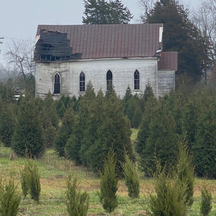 Old wooden church with damaged roof, surrounded by green trees and shrubs.