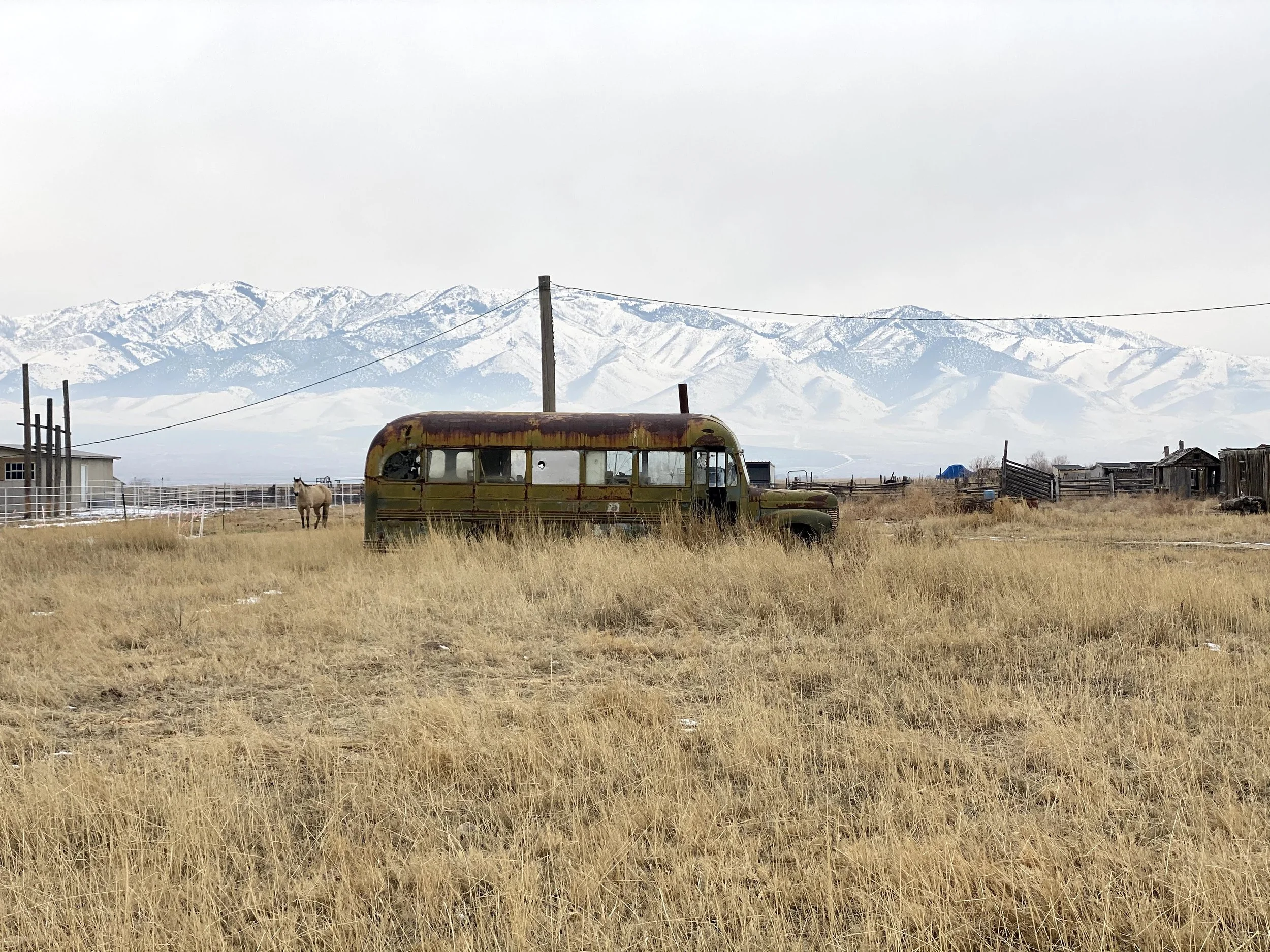 An old, rusted bus in a field with tall, yellow grass, a horse in the distance, and snow-capped mountains in the background under a cloudy sky.