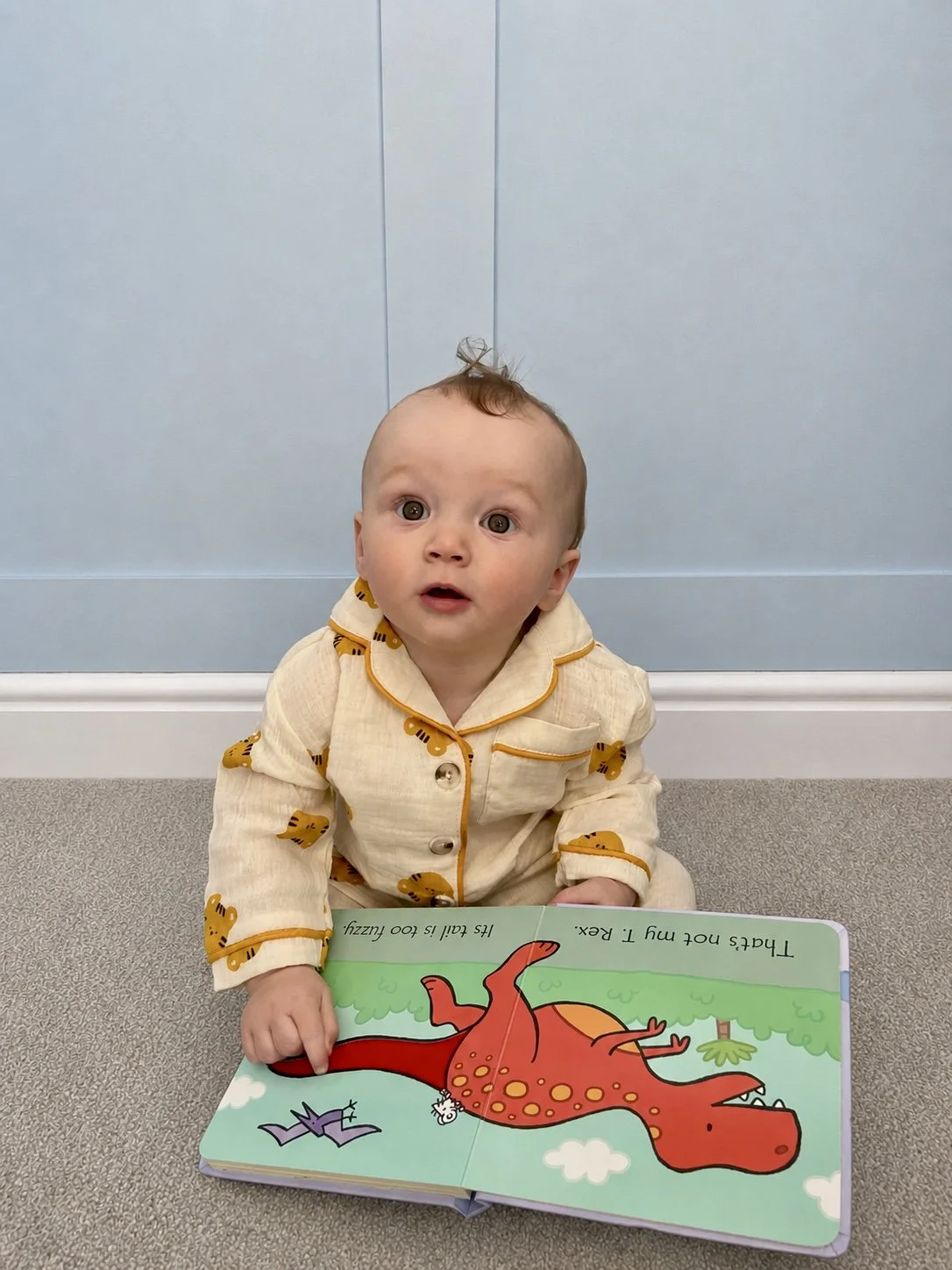 Tiger Pyjamas