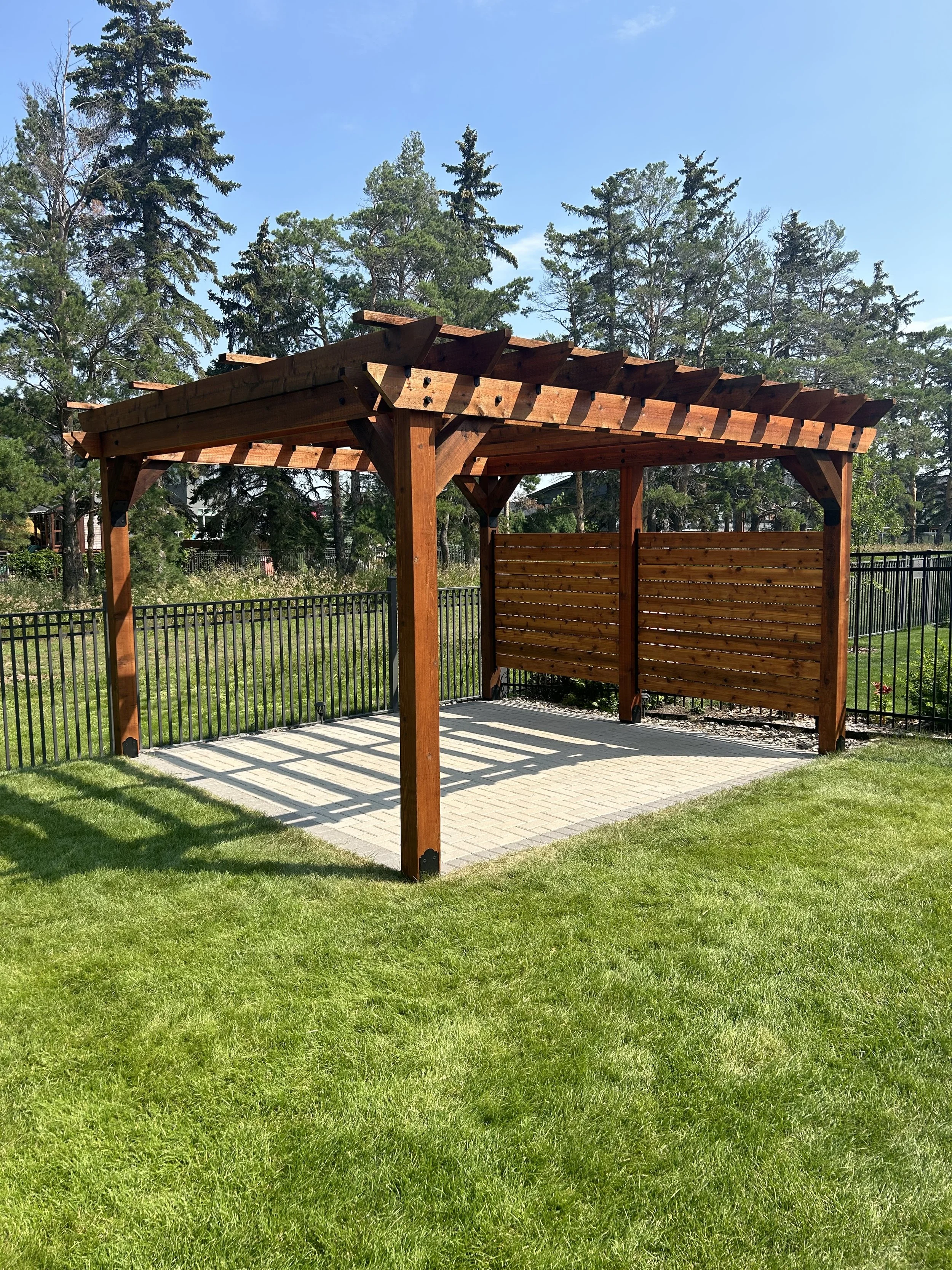 Evergreen project: pergola