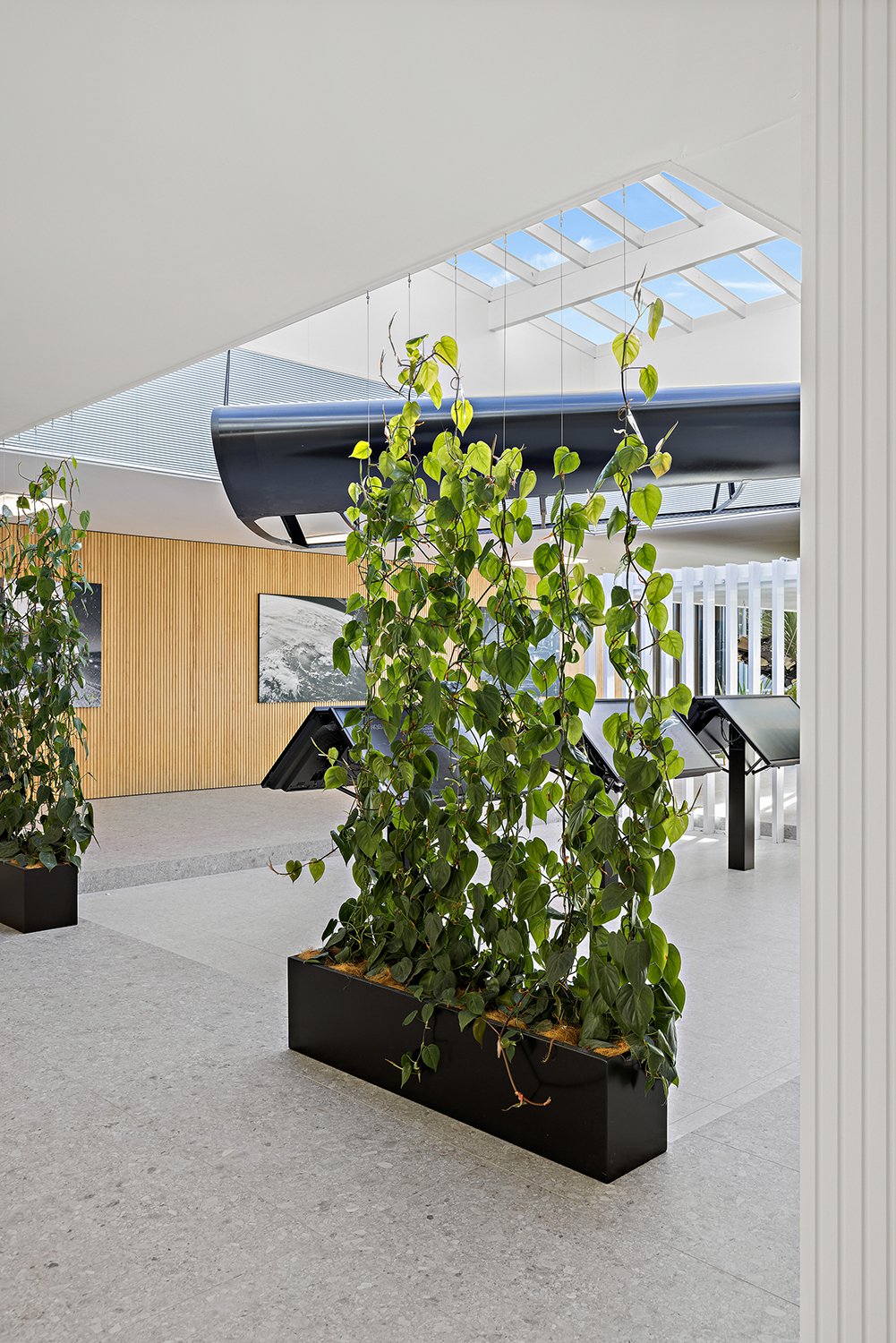 Indoor space with green potted plants, wooden wall, modern display screens, and natural light from skylight.