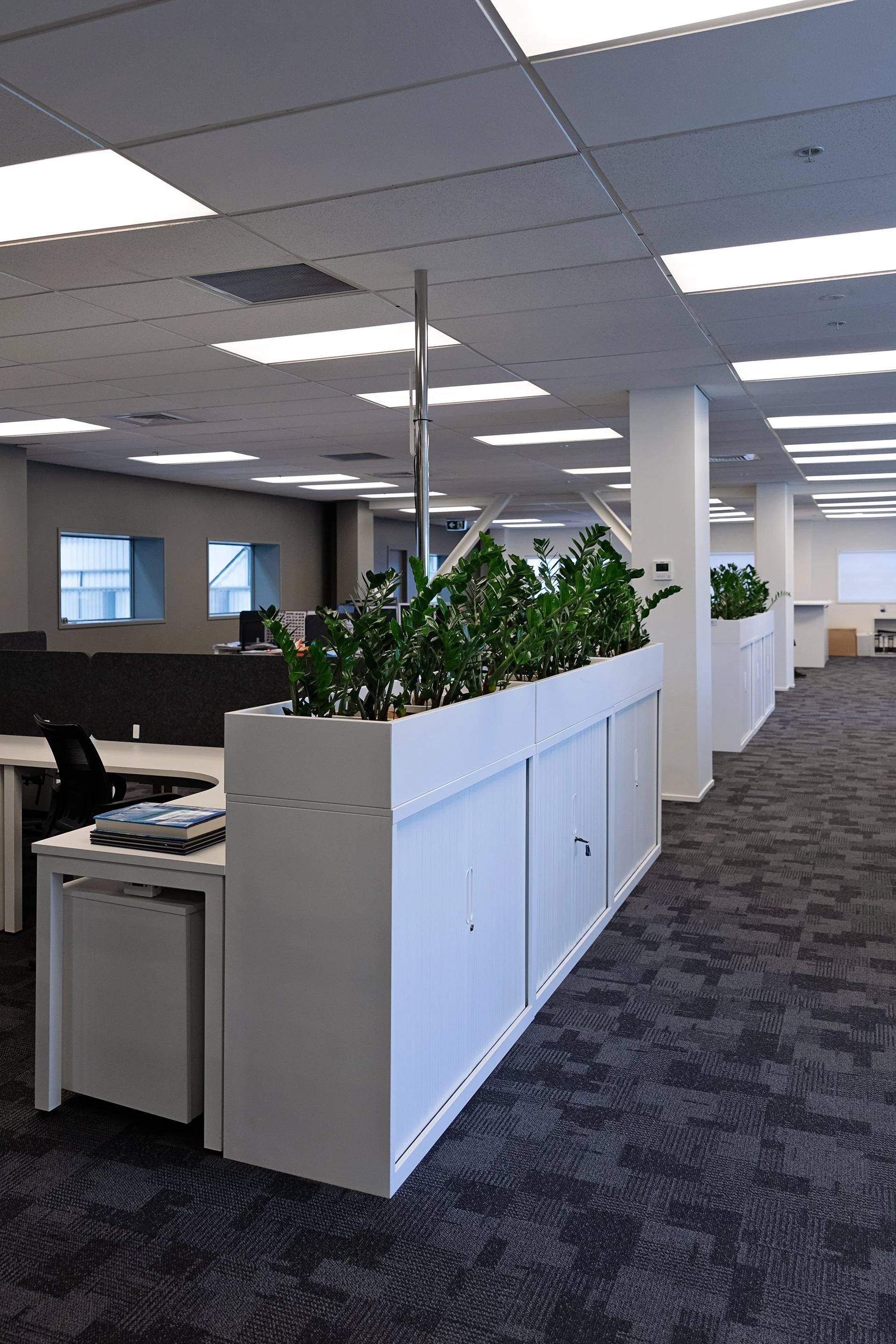 Interior of a modern office space with white partitions, green plants, gray carpet, and ceiling lights.