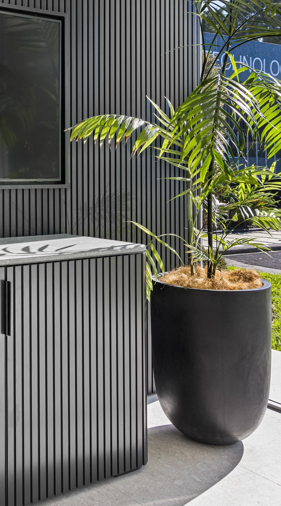 A large potted plant with green fronds stands next to a black slatted cabinet outside a modern building with vertical black siding and a window.