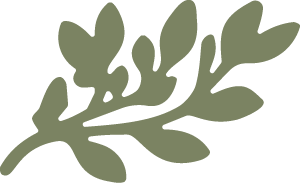 Silhouette of green leafy branch