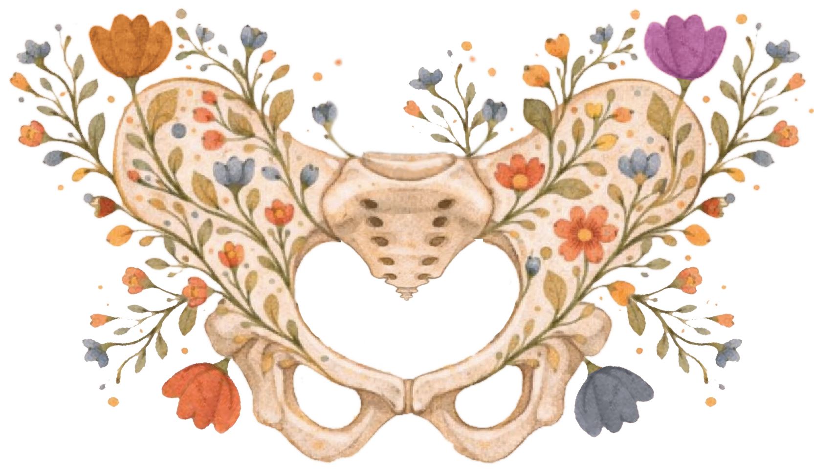 Floral pelvis, reproductive care in Colorado