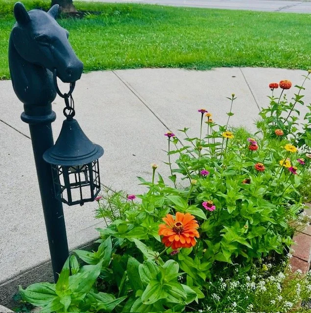 Colorful flowers growing in a garden bed next to a sidewalk with a decorative black horse head lamp.