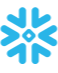 Snowflake in the Spring
