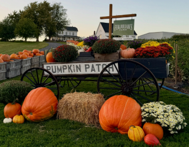 Fall is Coming!