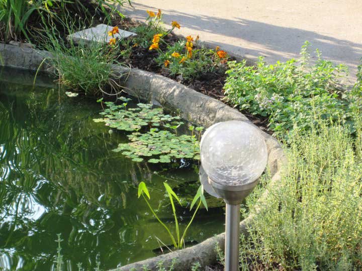 Side of pond showing Rock-on-a-Roll