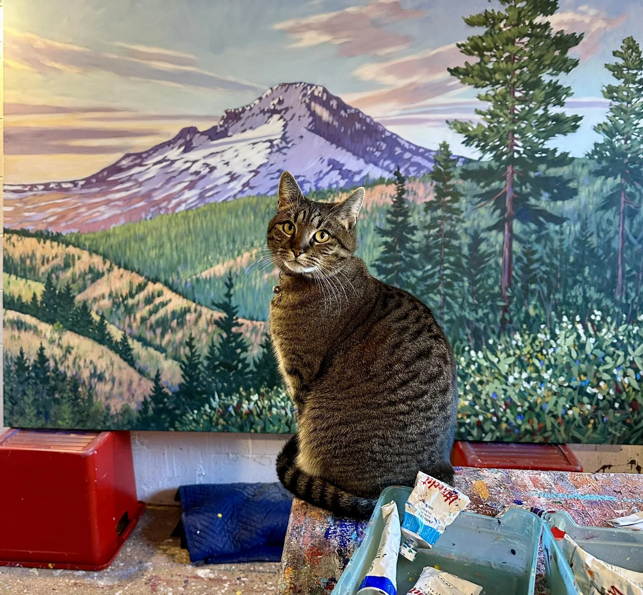 A tabby cat sitting on a table in front of a mountain landscape painting with trees and a colorful sky.
