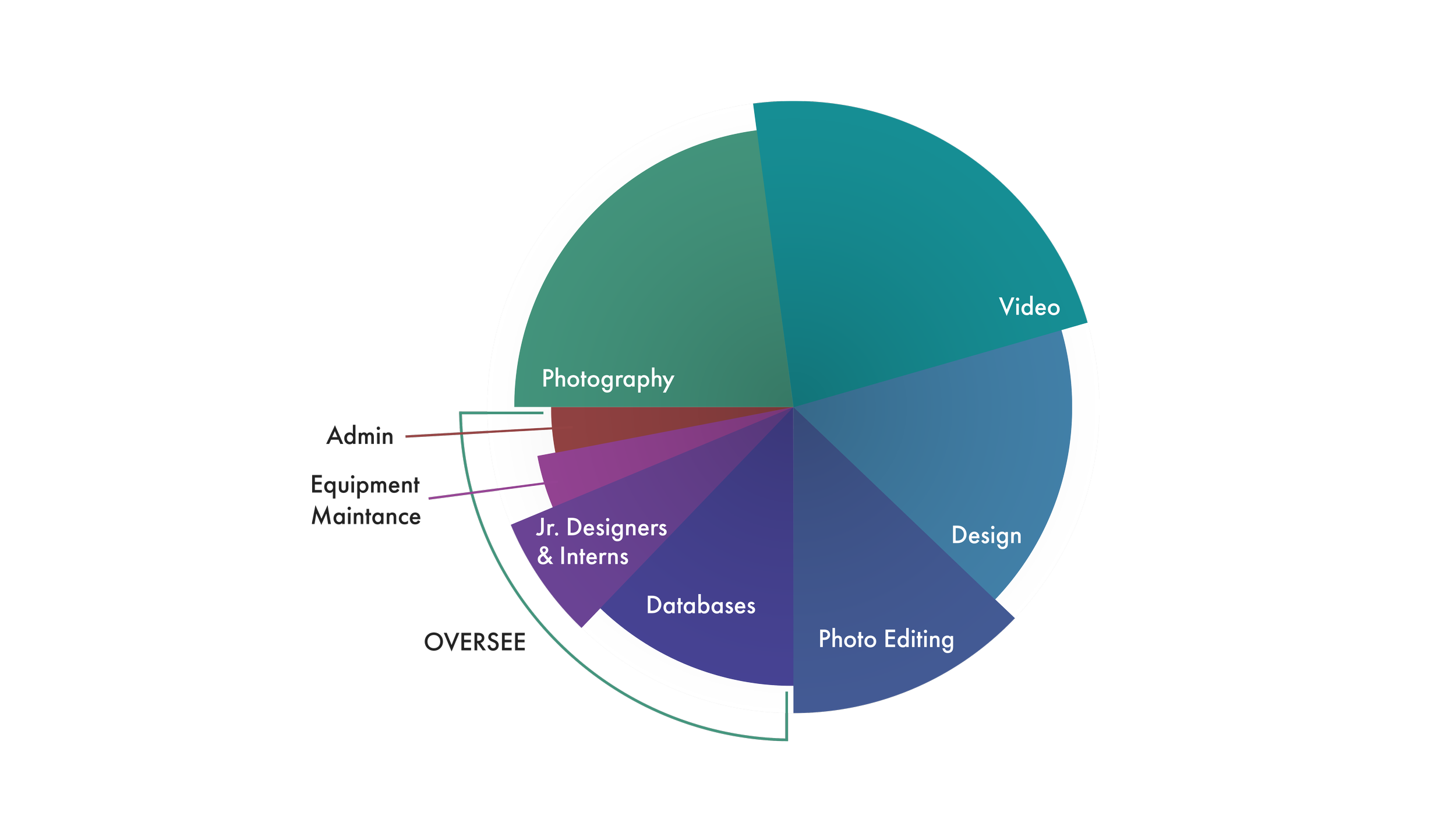 Pie chart showing the distribution of roles
