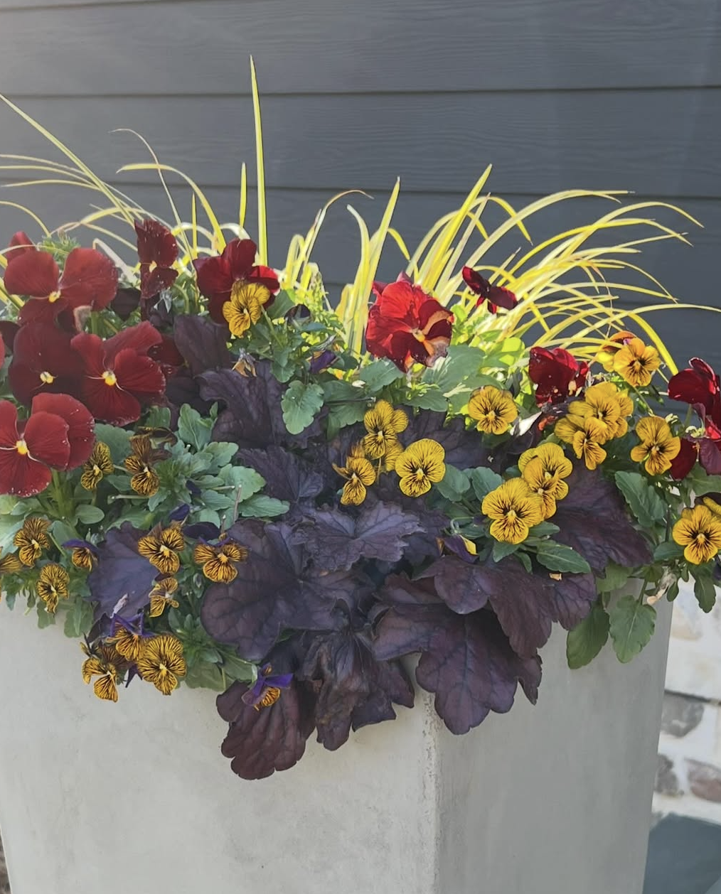Colorful flower arrangement in a white pot with red, yellow, and purple flowers and yellow foliage.