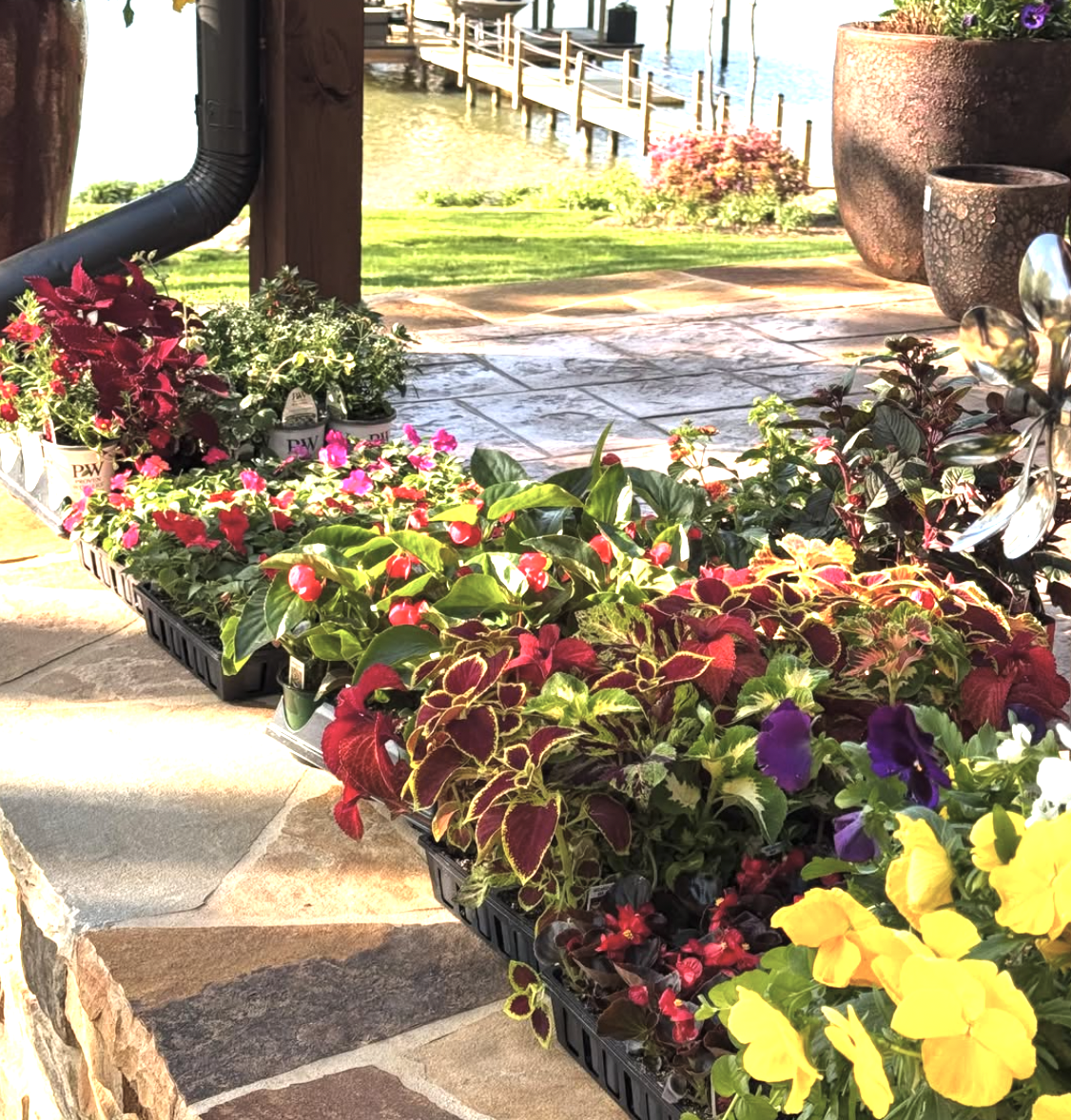 Colorful flowering plants in black trays on a stone-paved patio, with a view of a dock and water in the background.