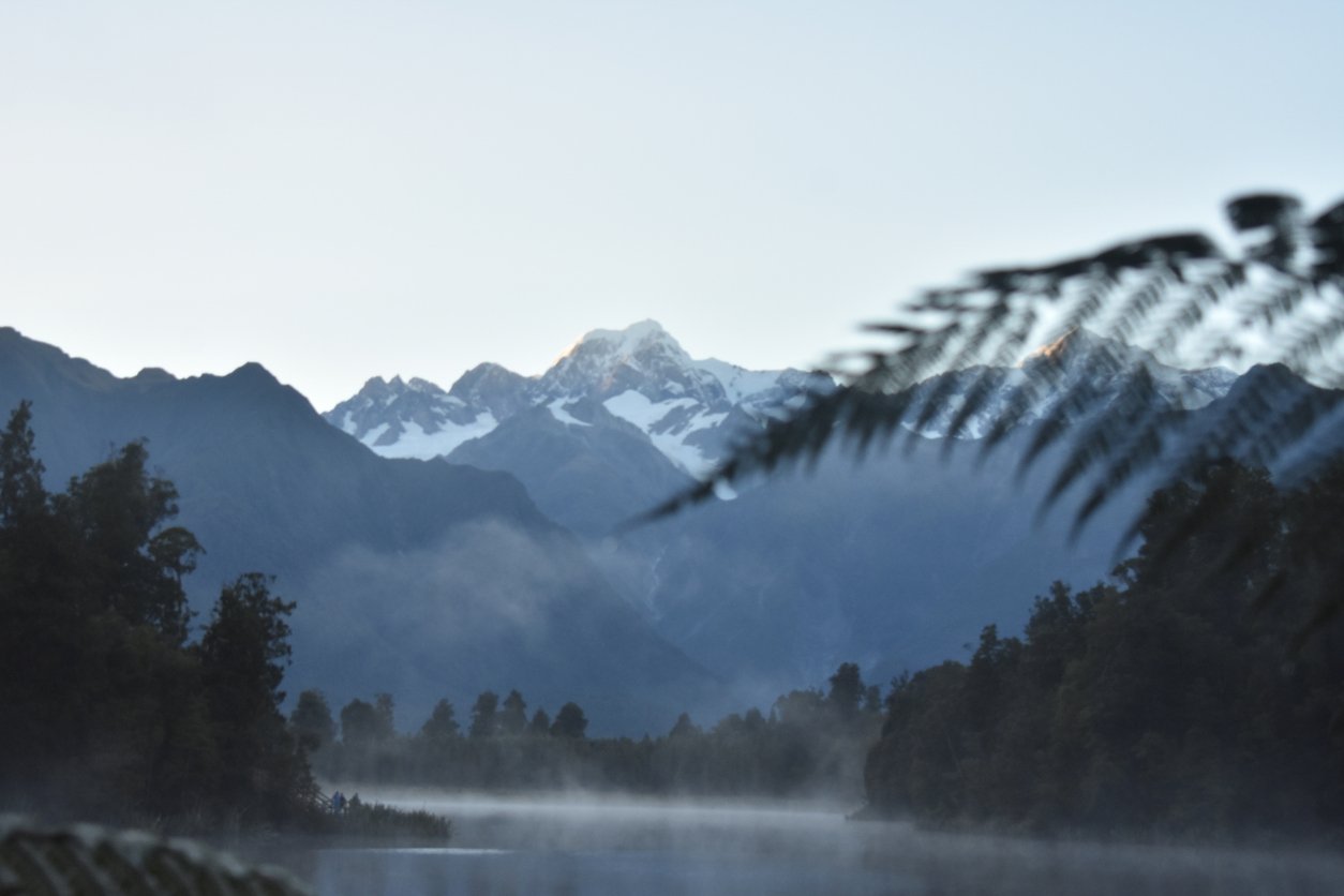 Snow-capped mountains in the distance with a misty forested landscape below, and a mountain fern leaf in the foreground.