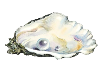 Un'ostrica aperta con due perle all'interno, una più grande e una più piccola.