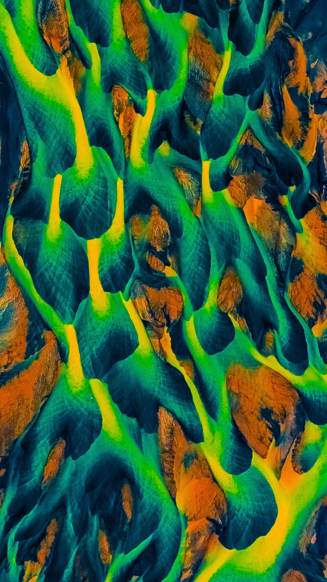 terra (vertical placement).jpg