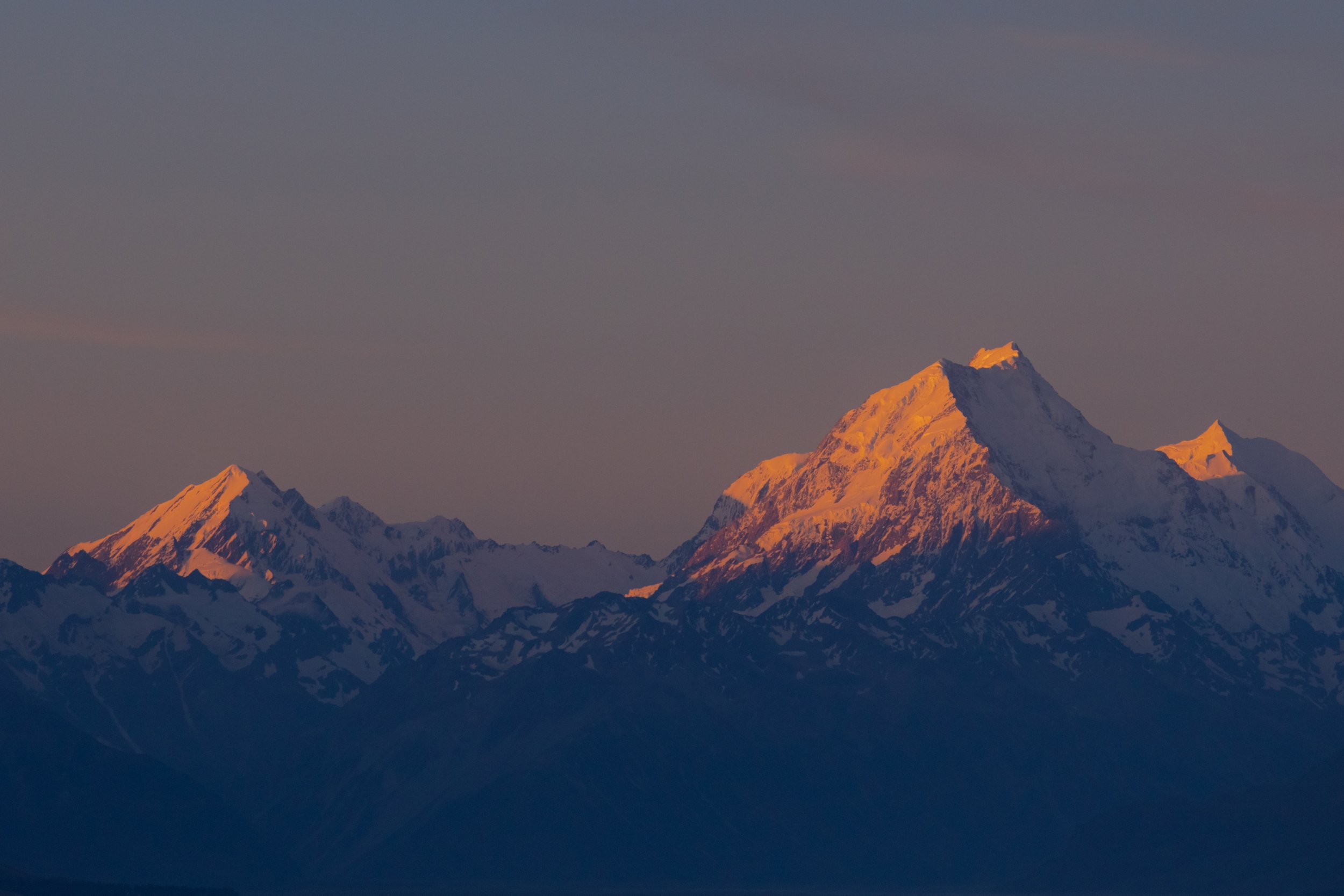 ardor (landscape)