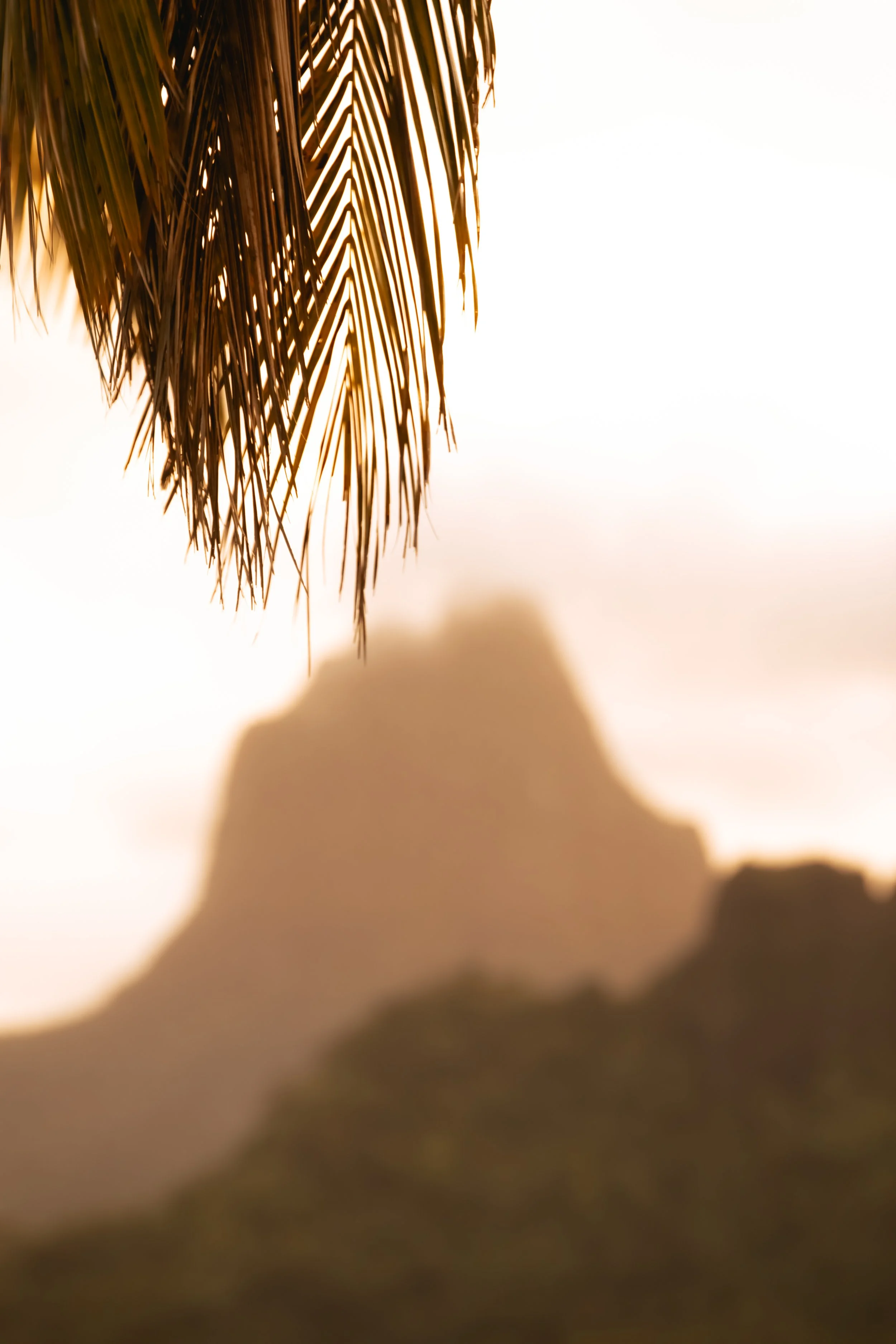 te hau