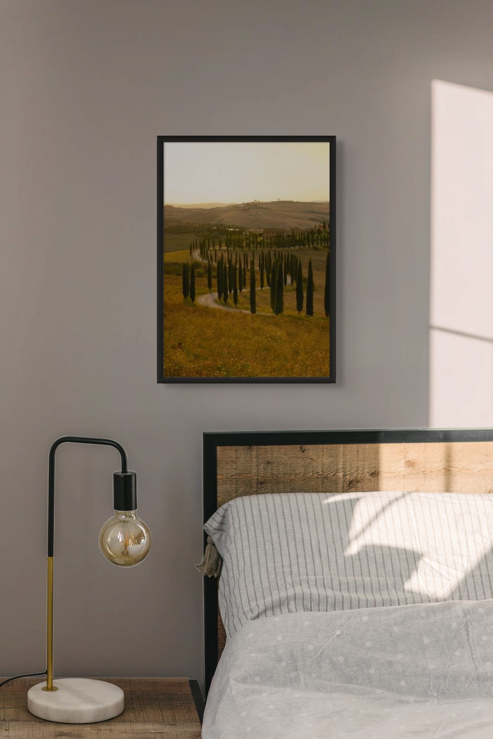 cypress - framed 2-full.jpg