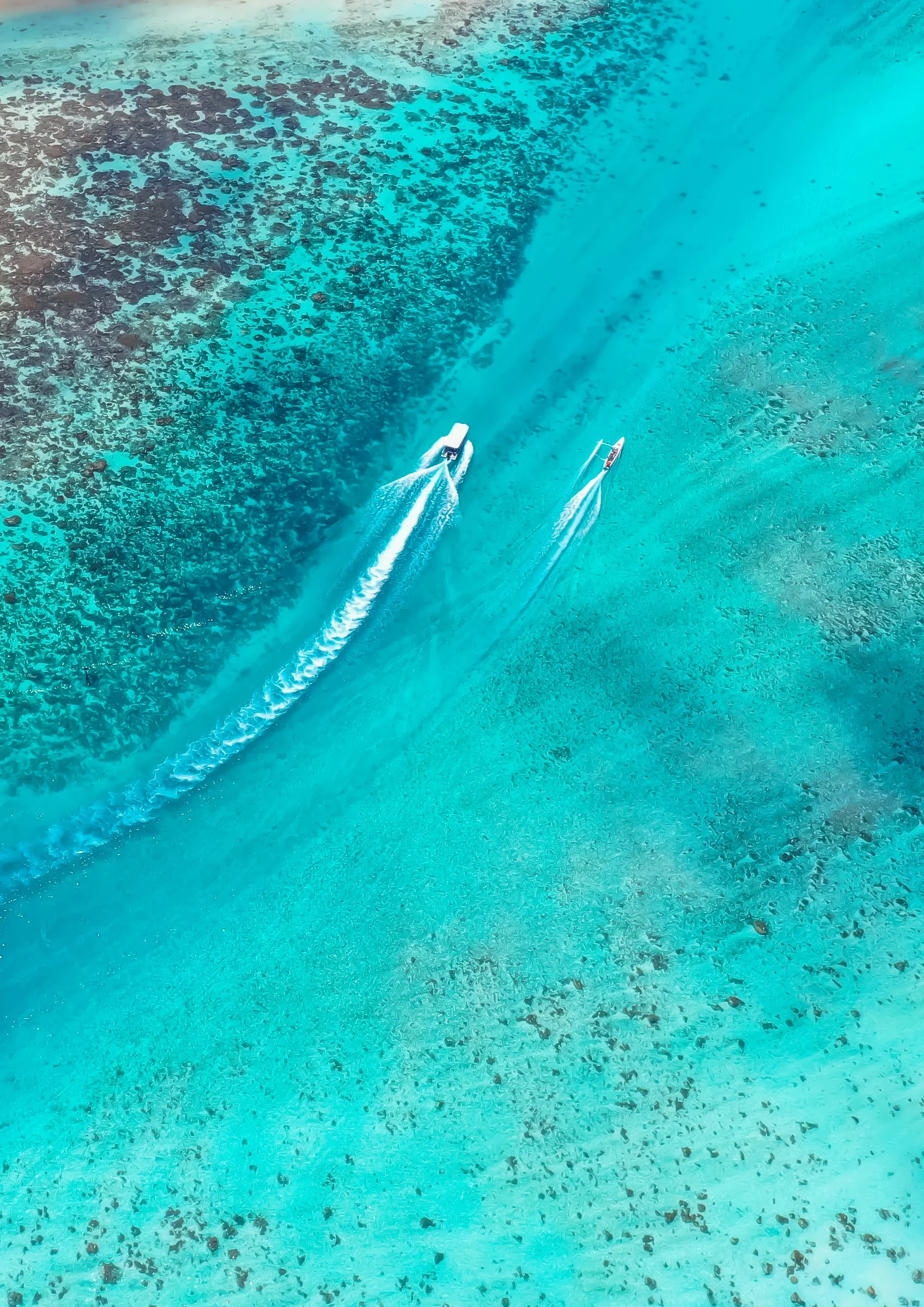 reef highway