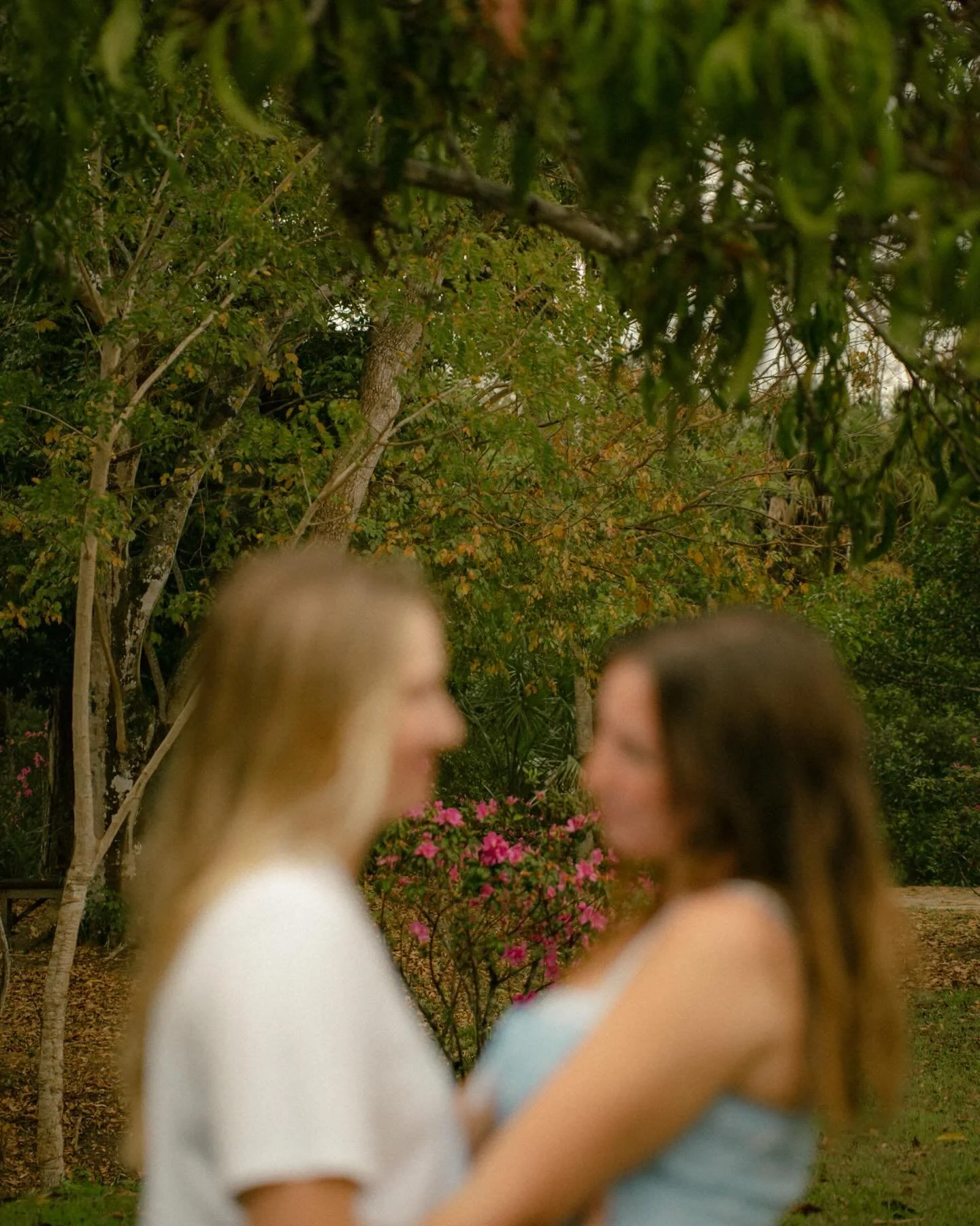 &ldquo;Love you like I mean it just because I can&rdquo;

T + A straight out of a film 🥹✨🎞️💌 

#swflphotographer #cinematicphotographer #couplesphotographer