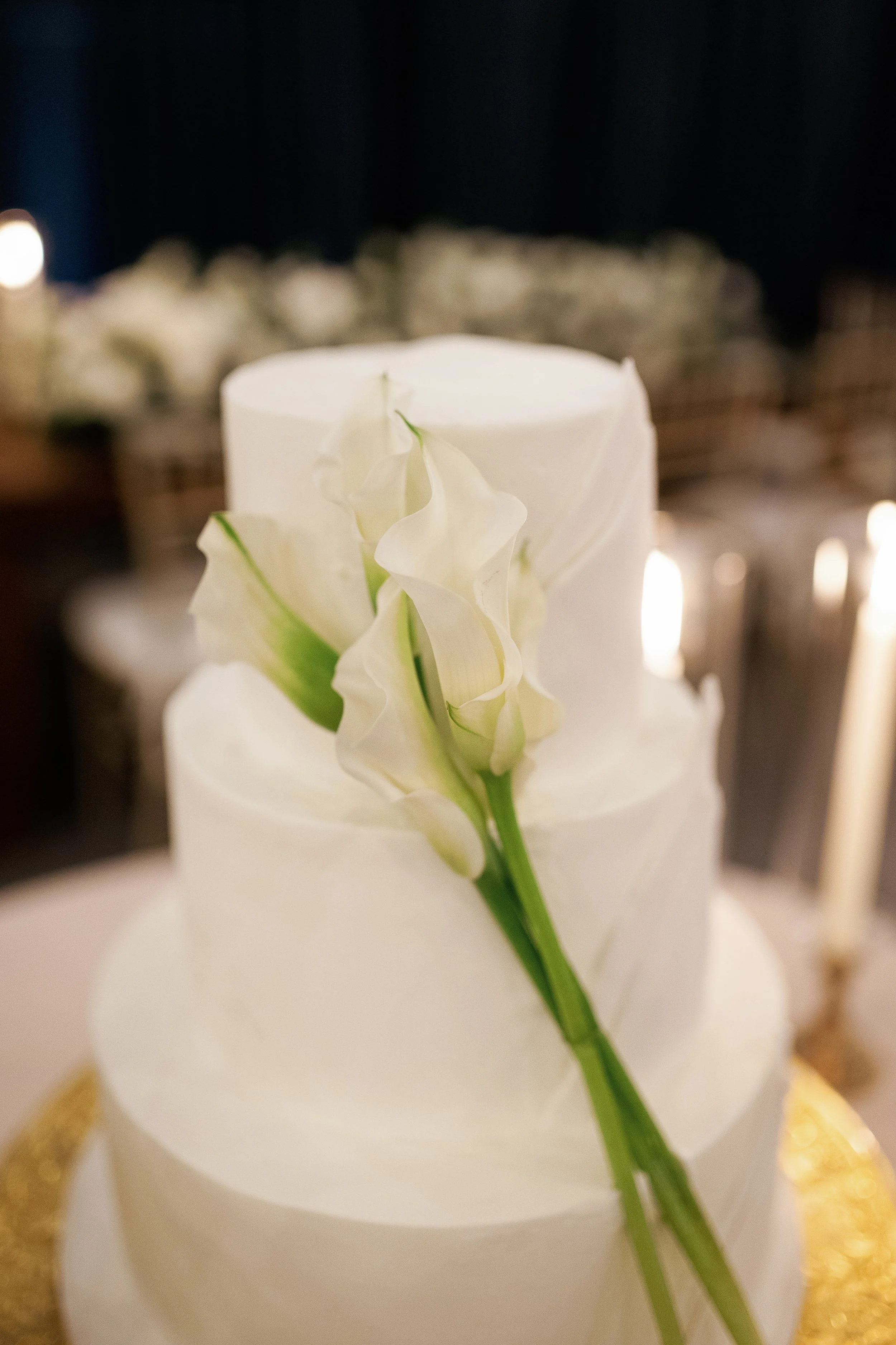 Hannah&Gage-Reception79.jpg