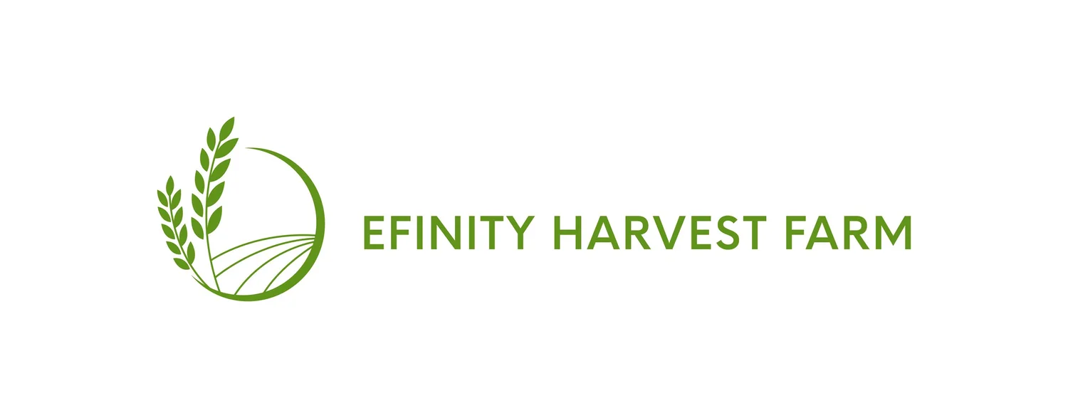 Efinity Harvest Farm | Growing Fresh Food. Strengthening Community.