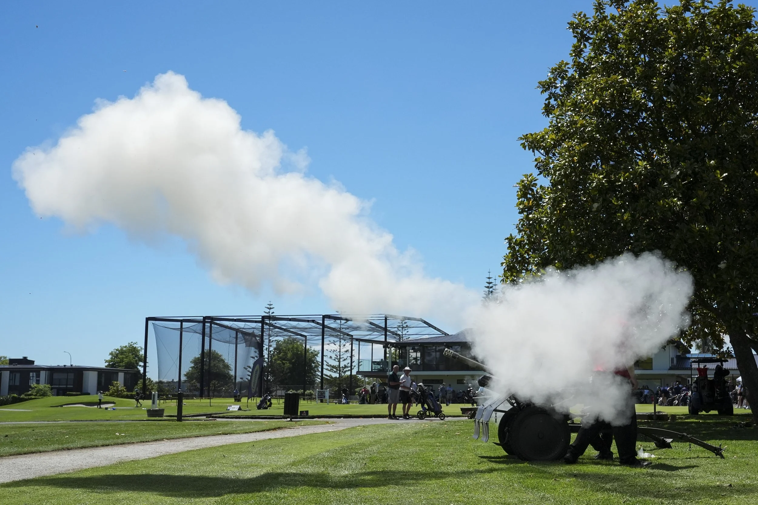 TOTARA 2025 015 .jpg