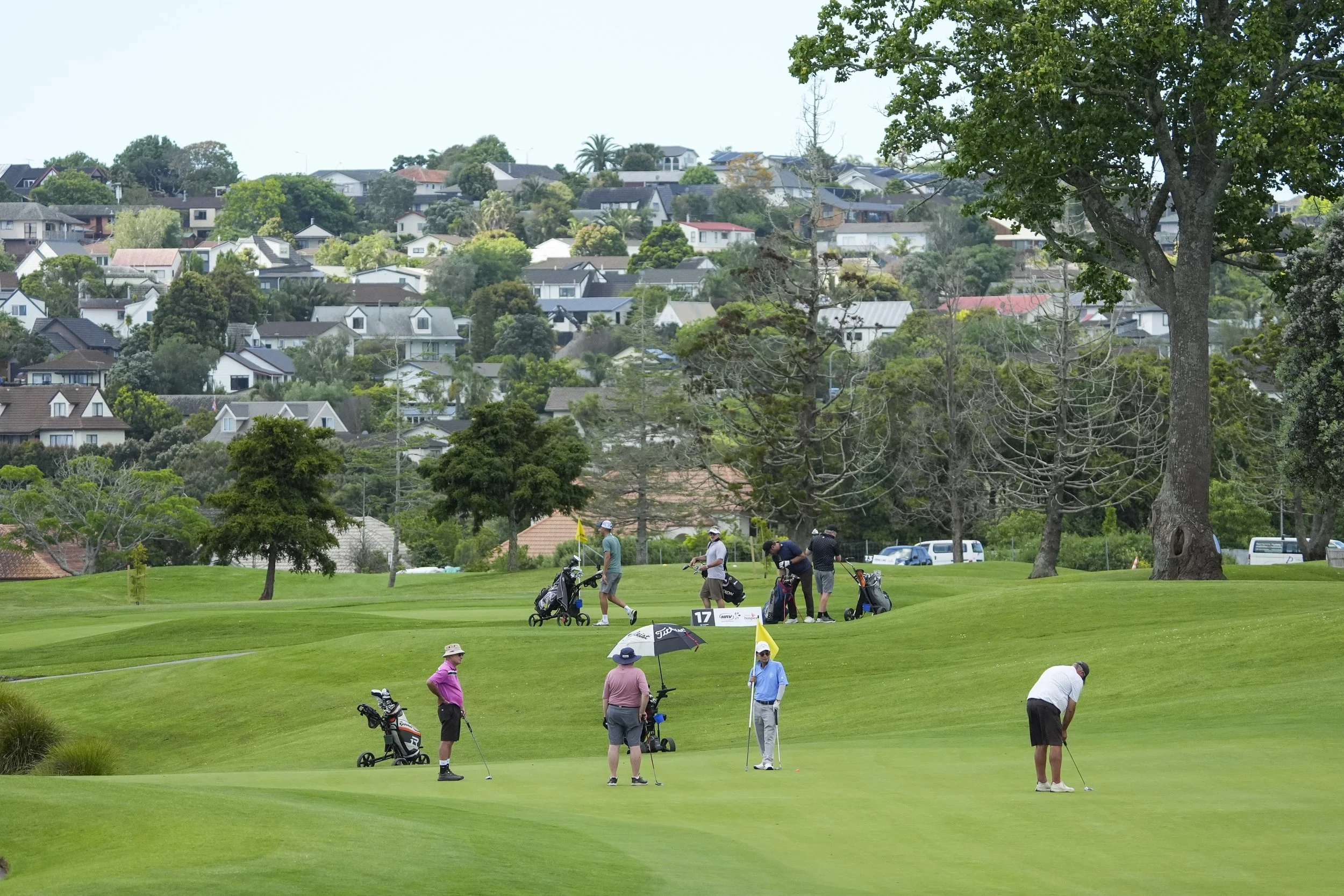 TOTARA 2025 108 .jpg