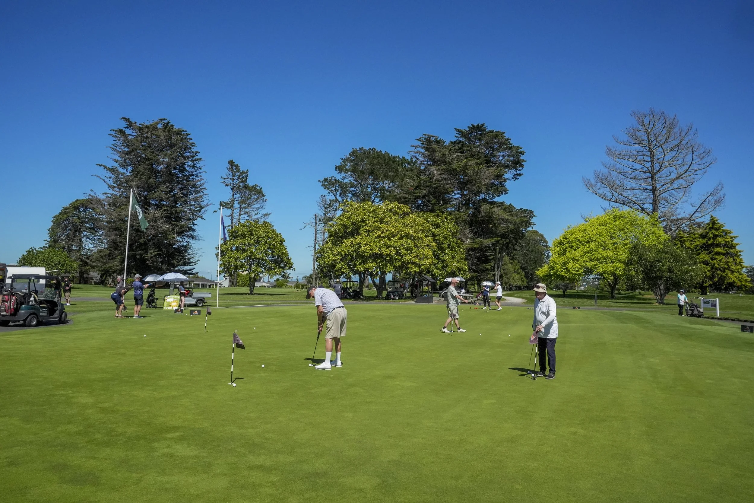 TOTARA 2025 005 .jpg