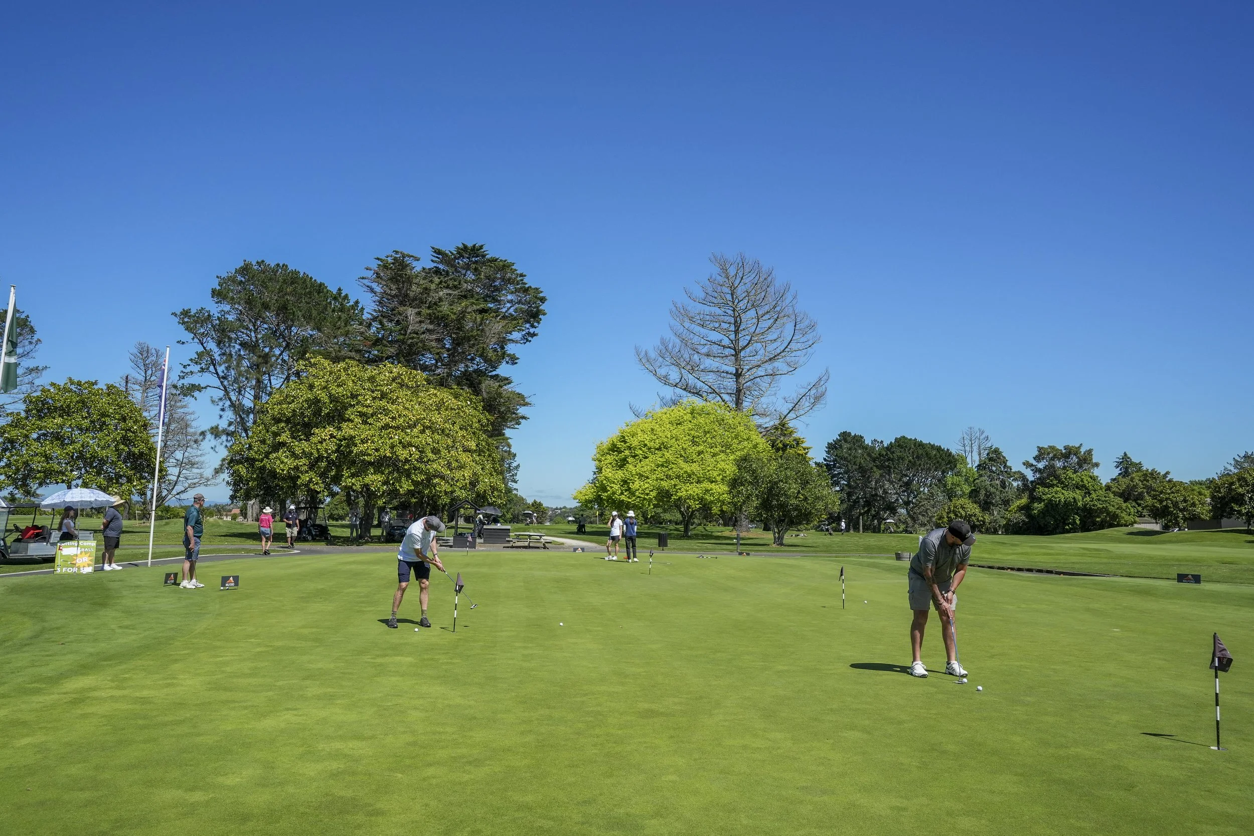 TOTARA 2025 007 A.jpg
