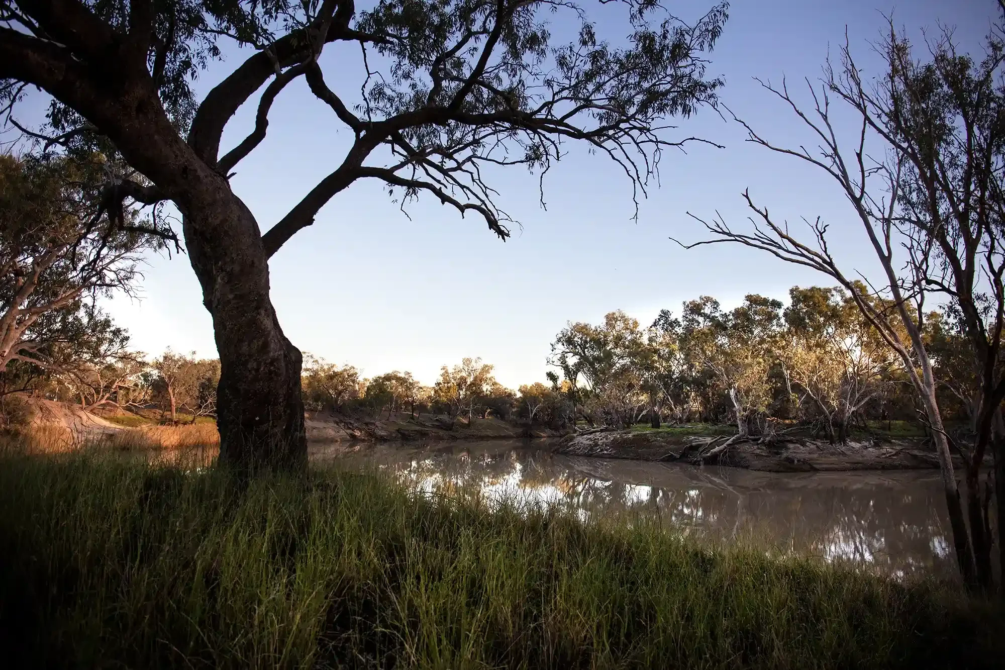 Four Mile Reserve
