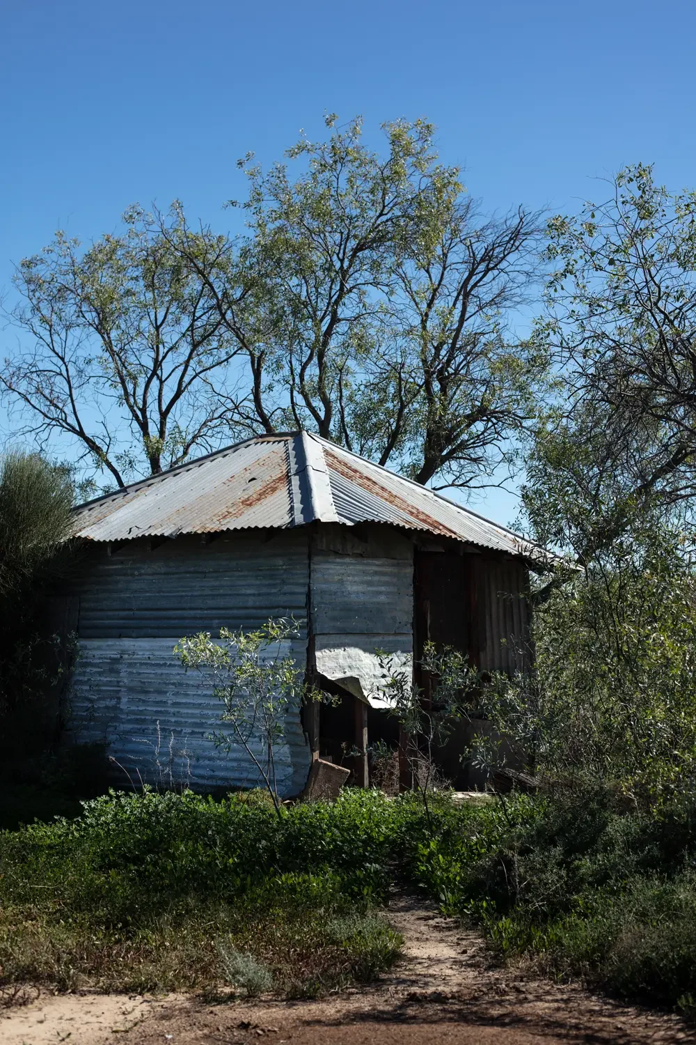 Corrugated tin hut