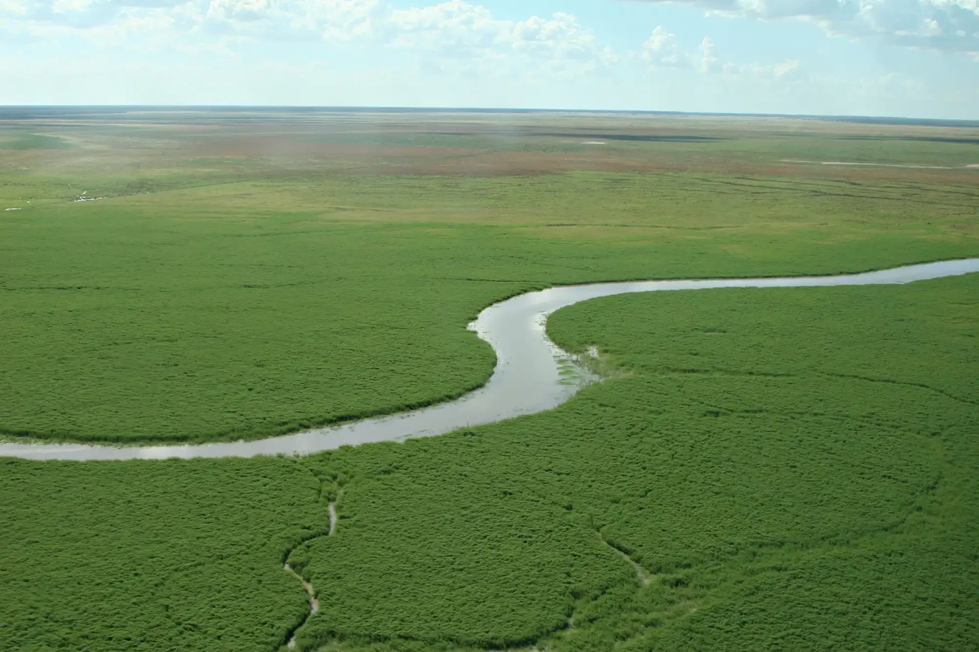 Narran Lake nature reserve. Photo credit: Nicola Brookhouse DCCEEW