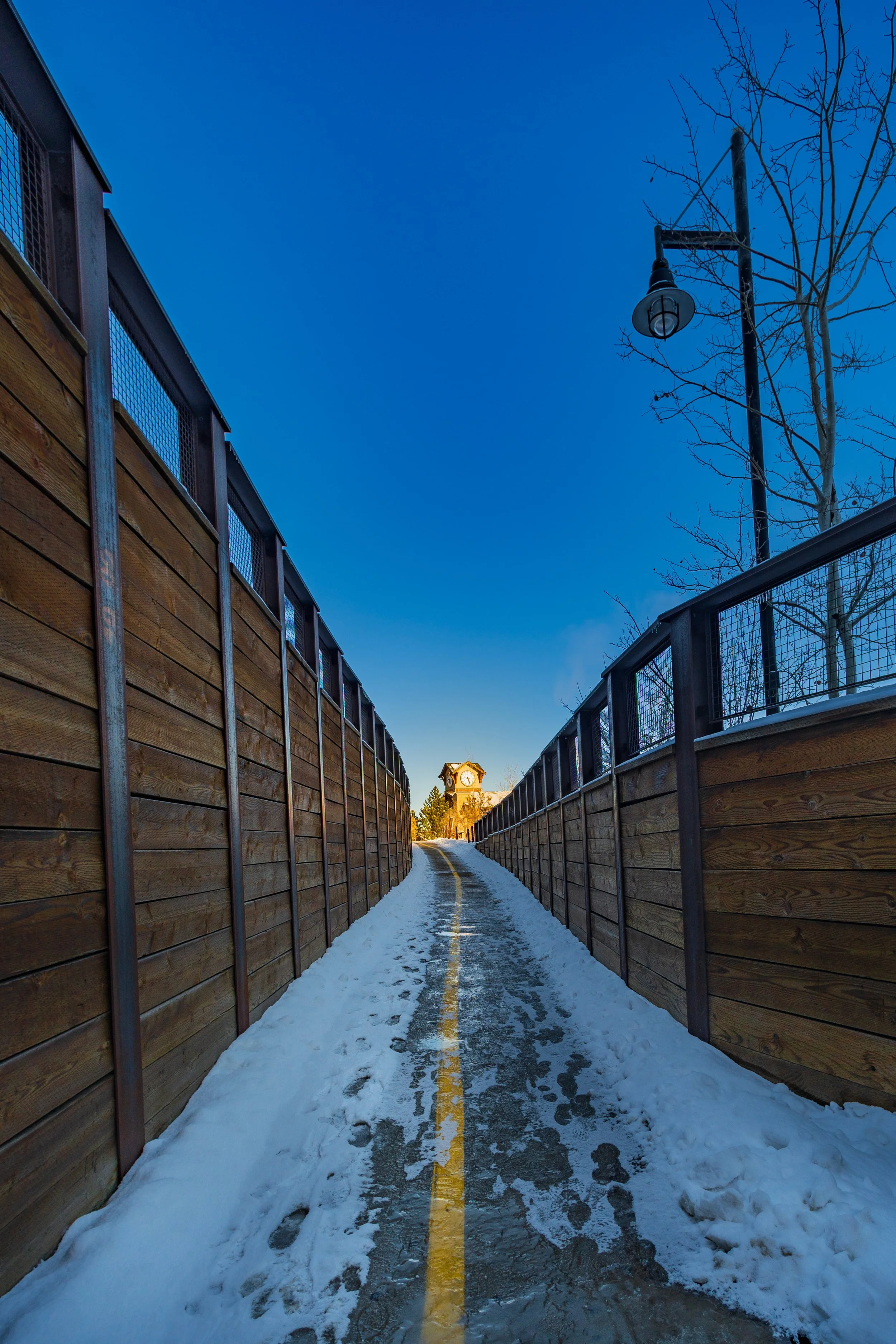 _A739017.jpg