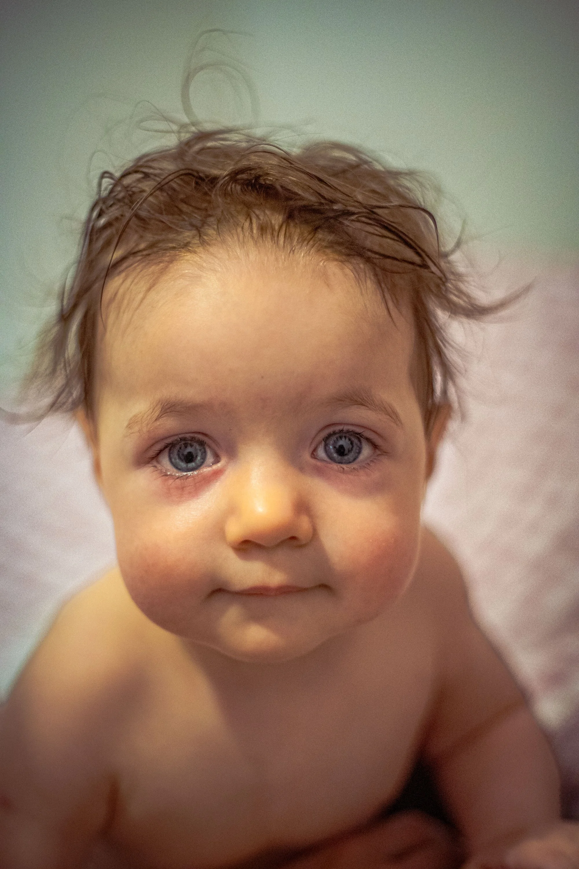 A7307333-2026.jpg