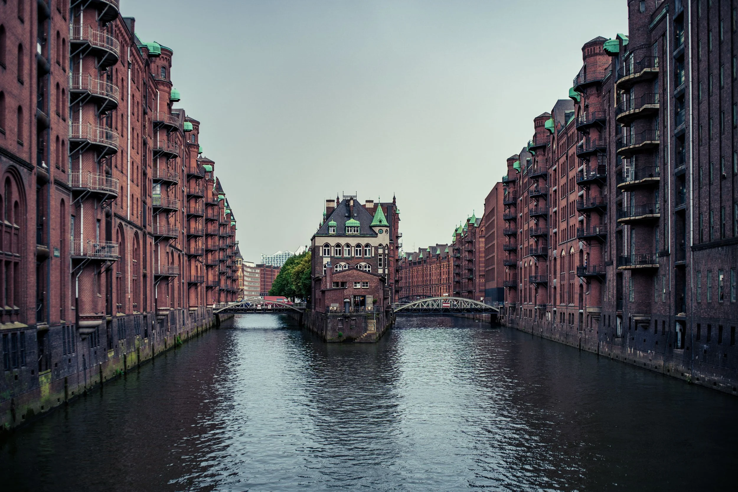 _A737905.jpg