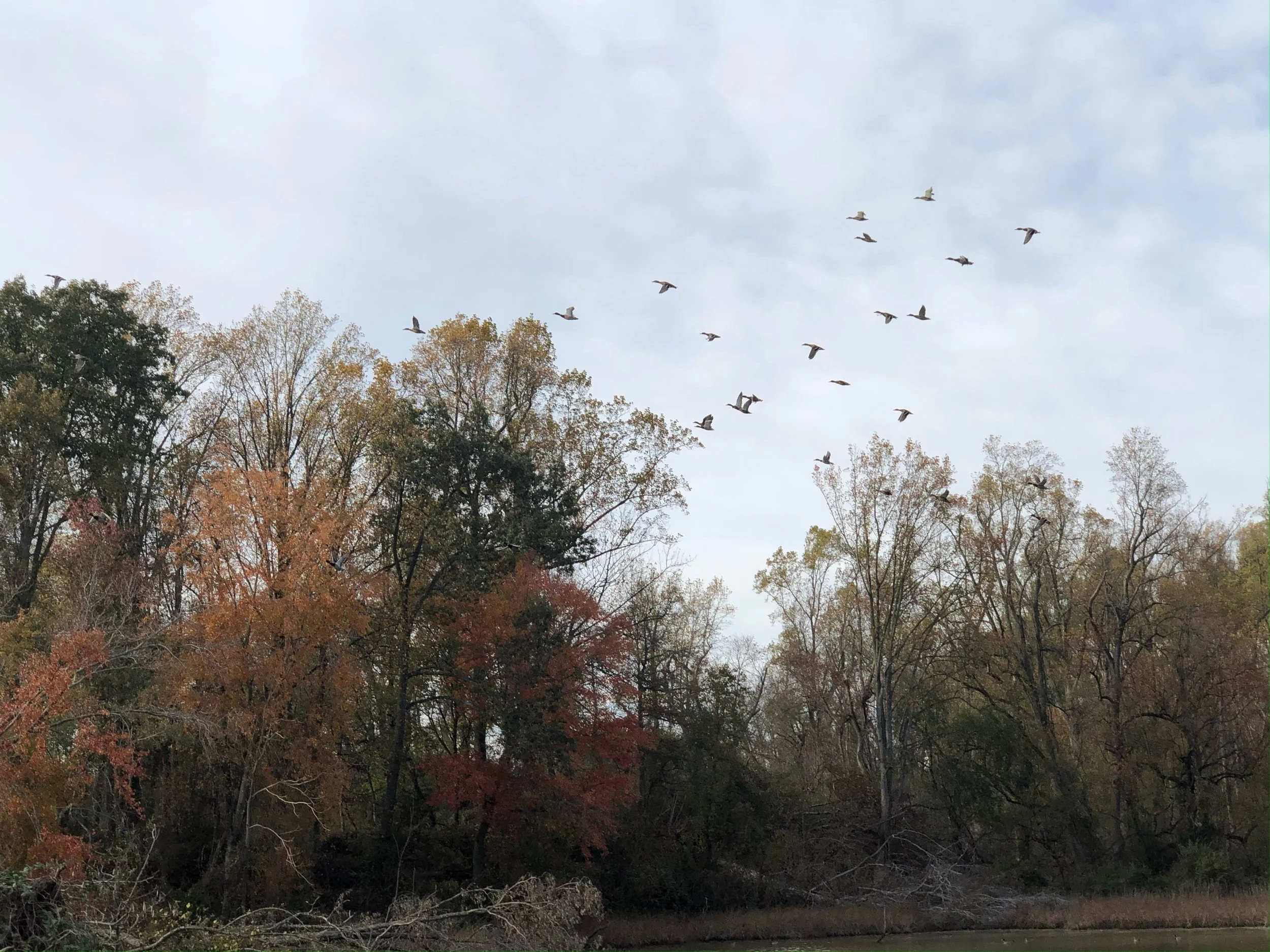 HuntingFishing-3.jpg